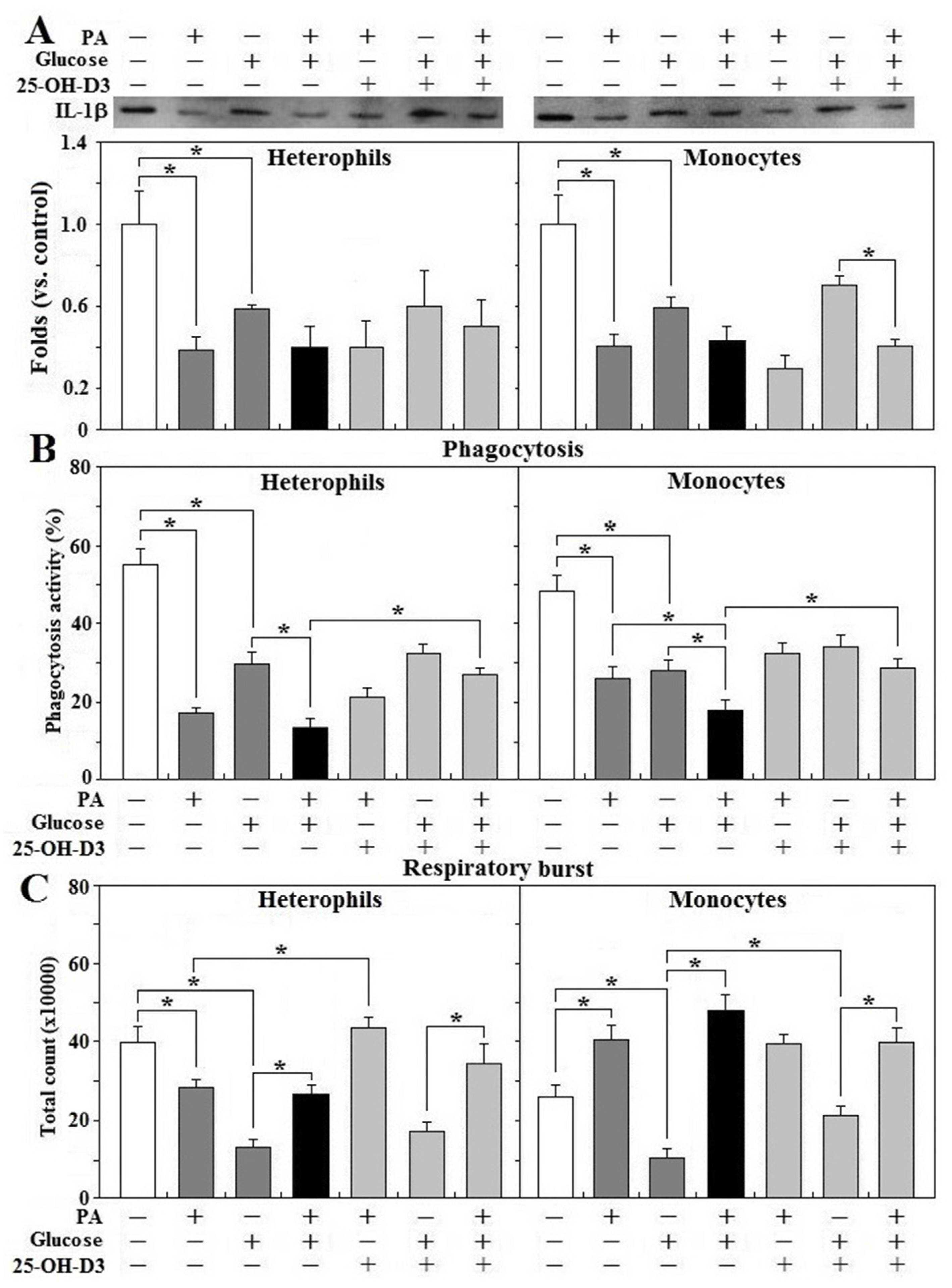 Animals 11 01742 g007
