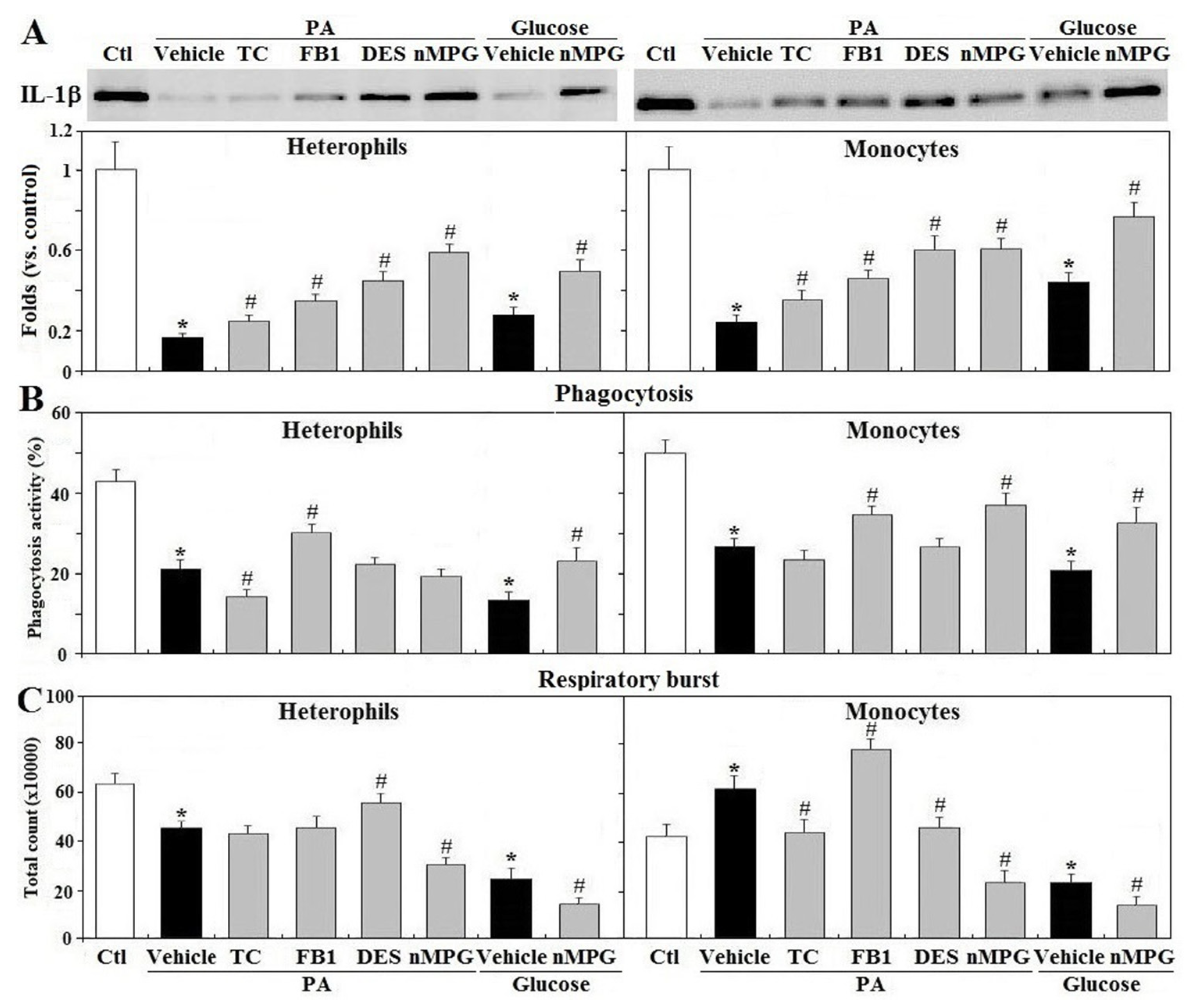 Animals 11 01742 g008