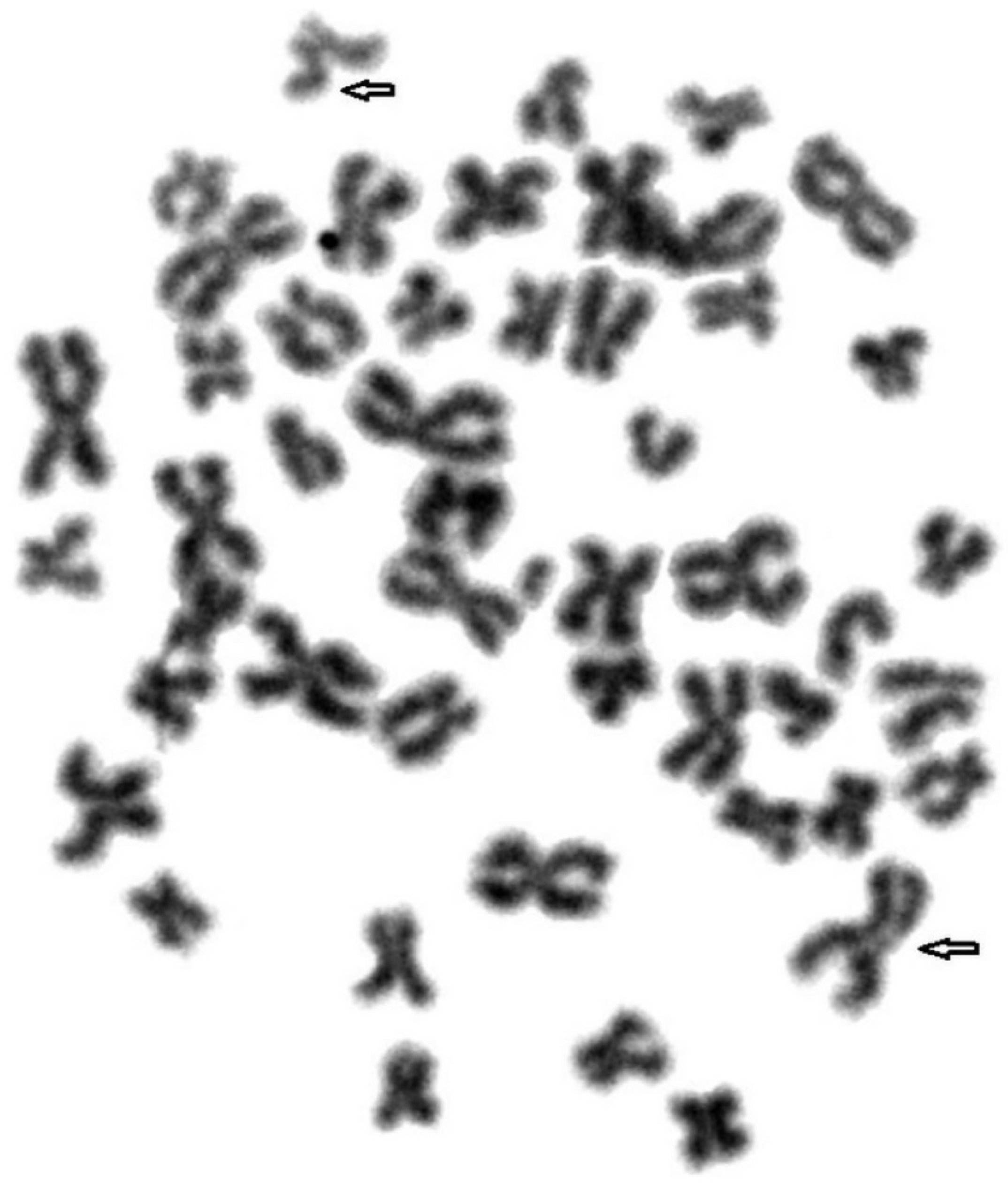 Animals 11 01743 g001 Animals 11 01743 g001