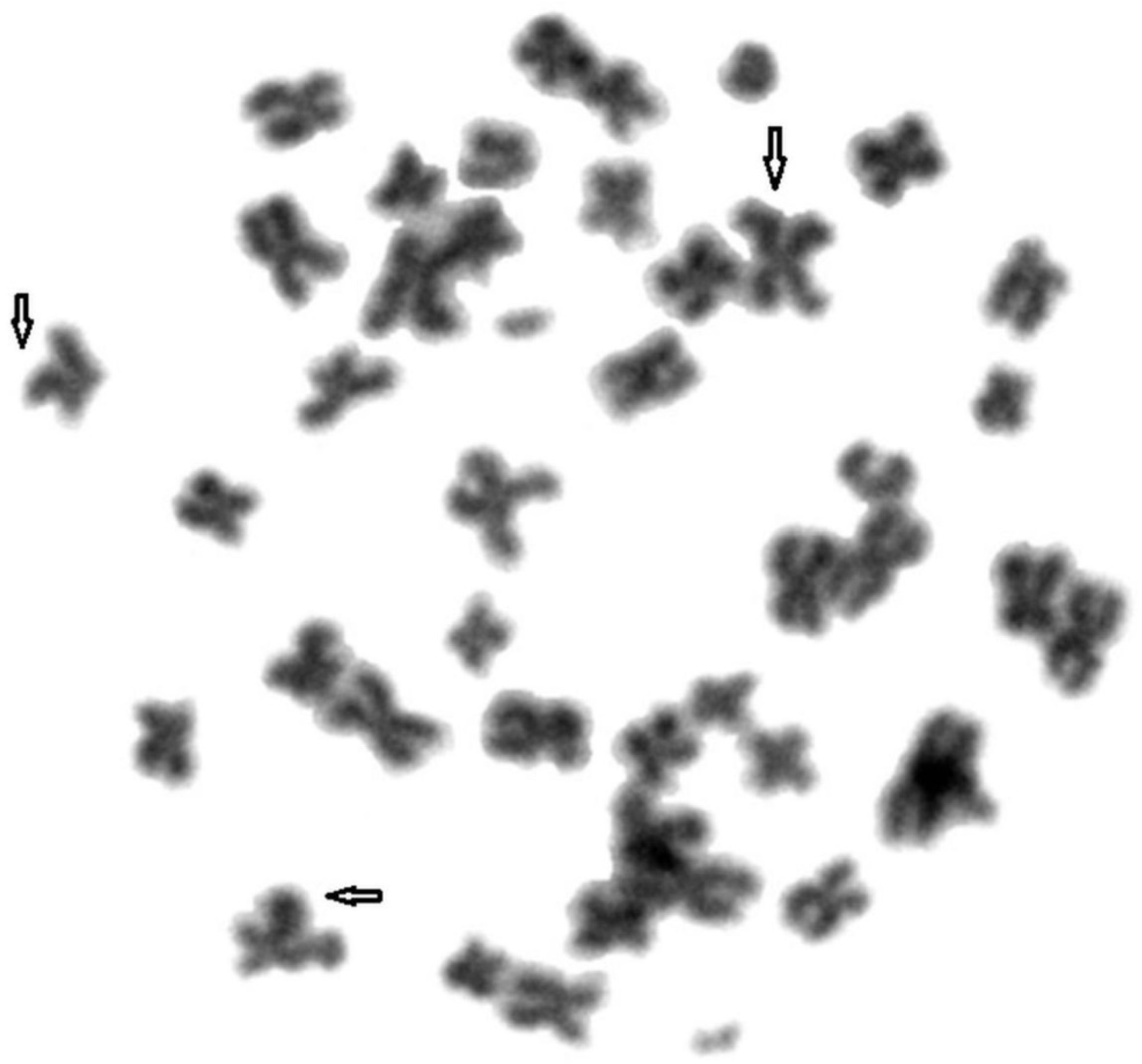 Animals 11 01743 g003 Animals 11 01743 g003