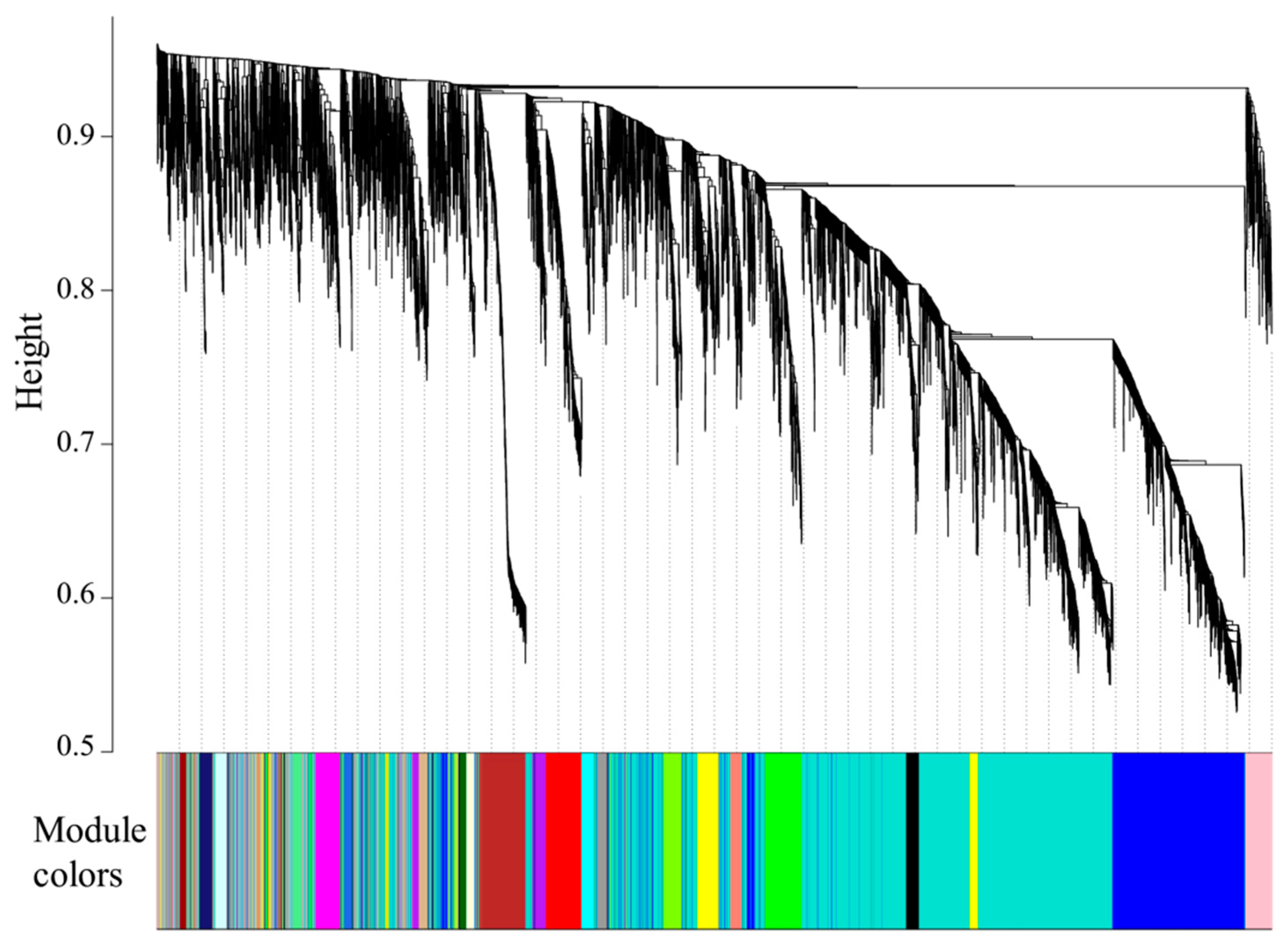 Animals 11 01745 g006 Animals 11 01745 g006