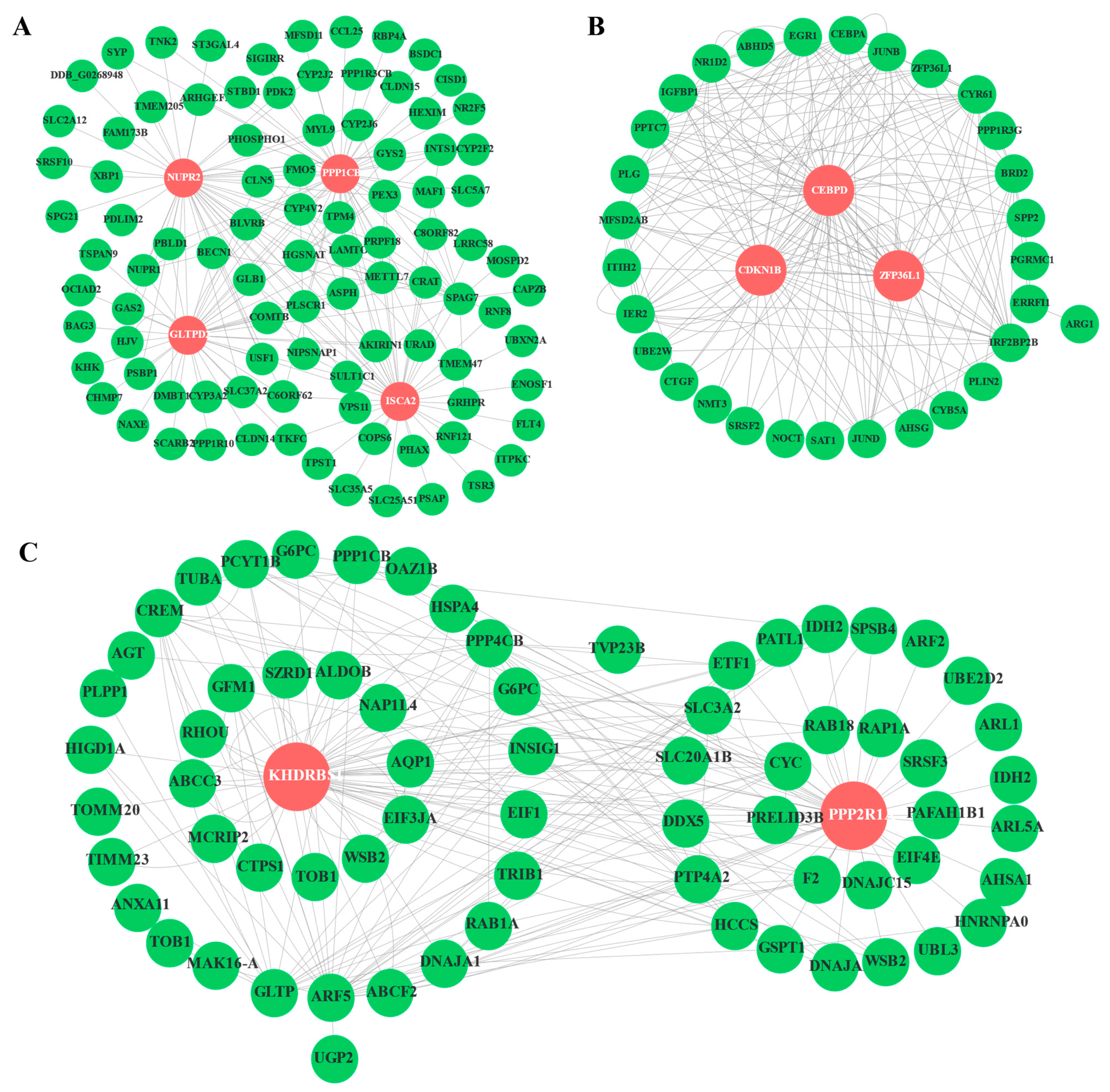 Animals 11 01745 g009 Animals 11 01745 g009