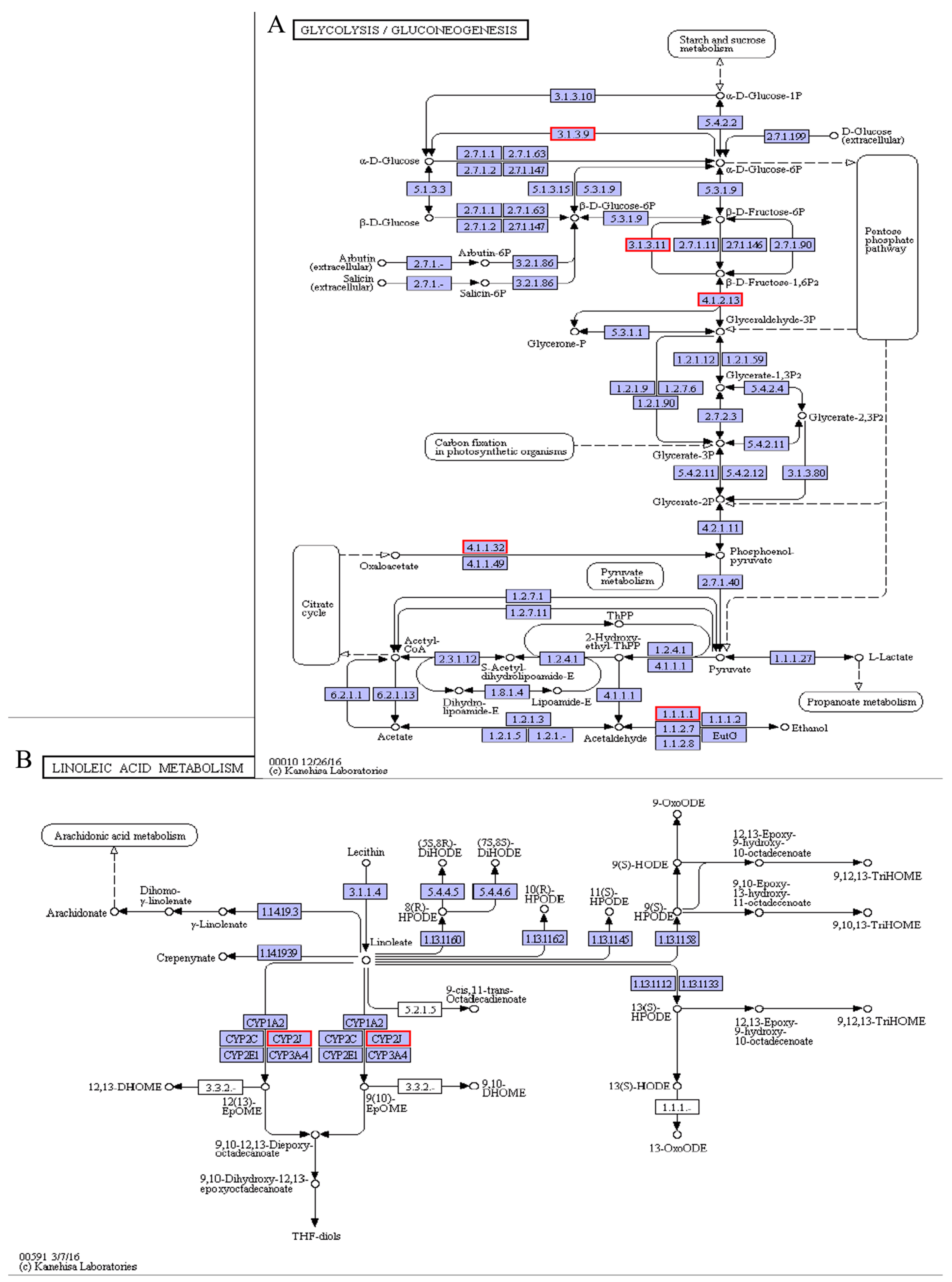 Animals 11 01745 g011 Animals 11 01745 g011