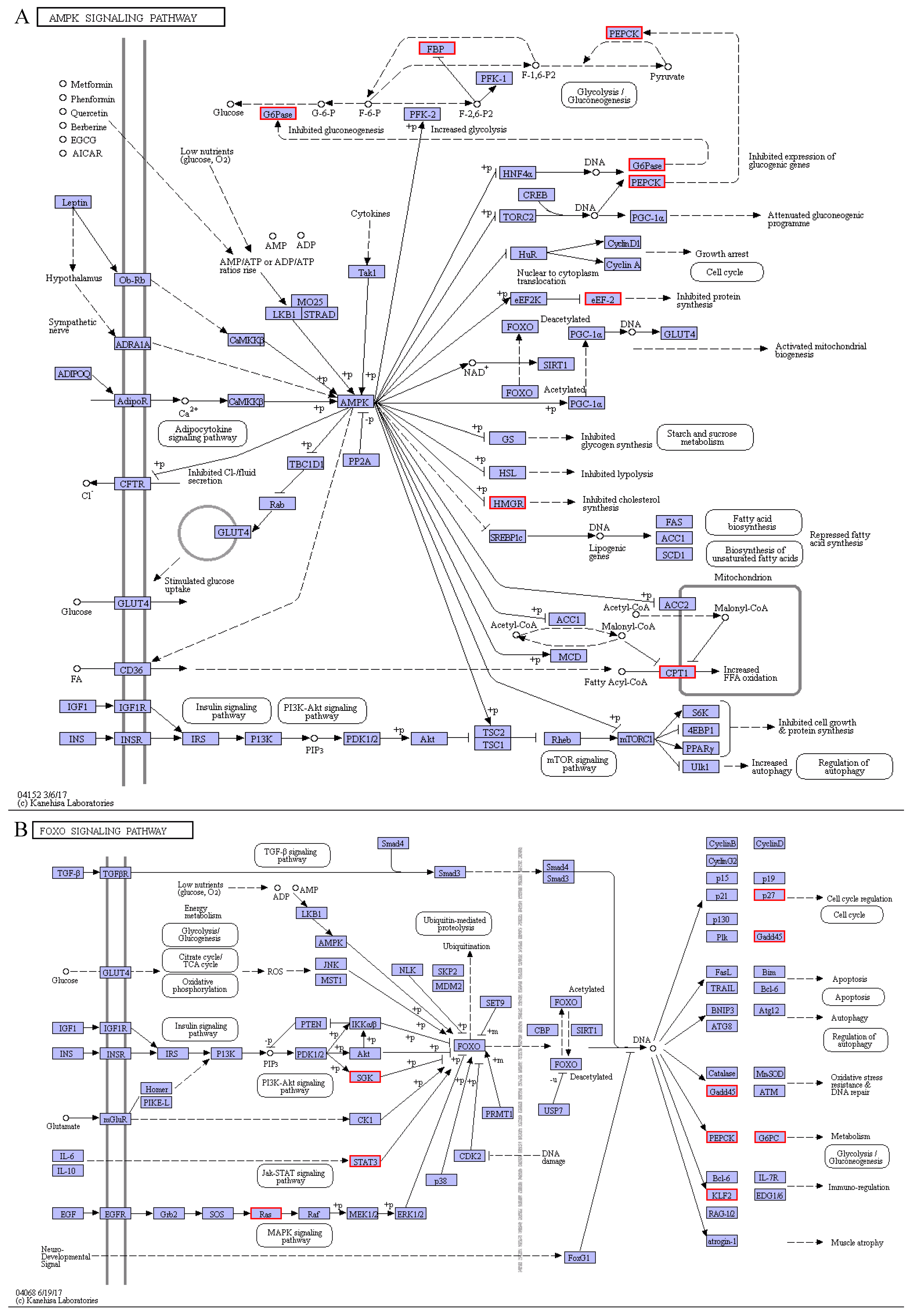 Animals 11 01745 g012 Animals 11 01745 g012