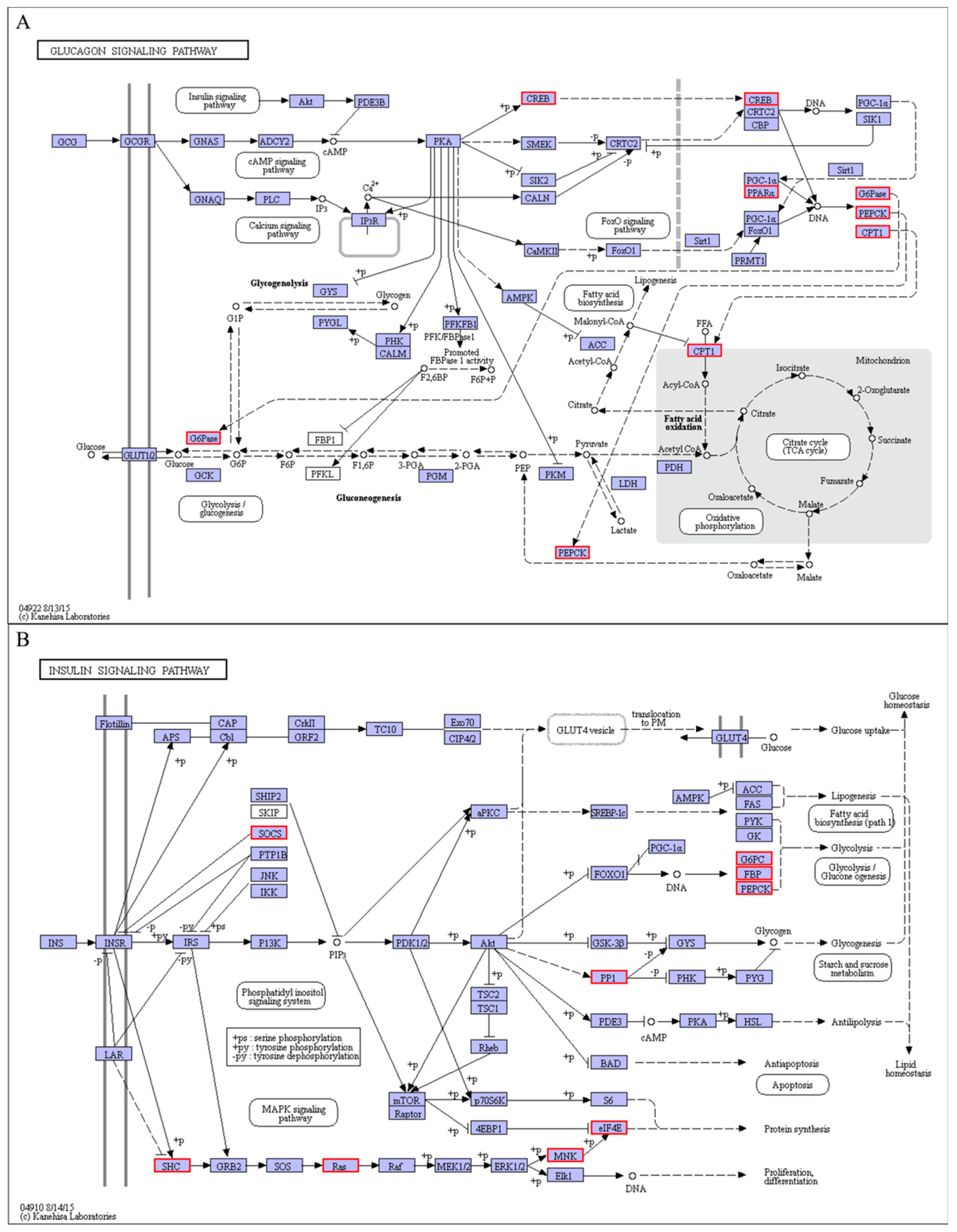 Animals 11 01745 g013 Animals 11 01745 g013