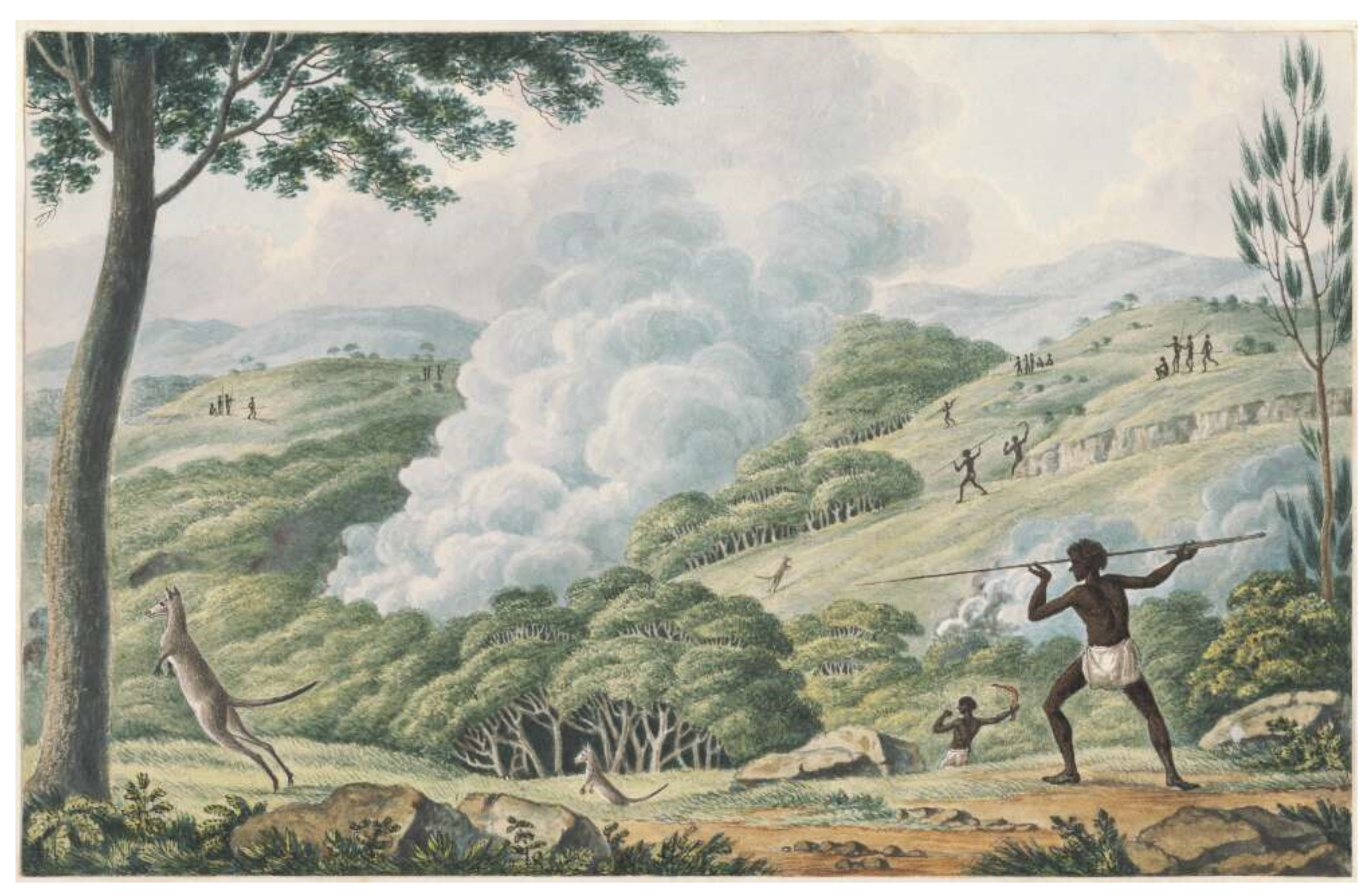 Animals 11 01753 g002 Animals 11 01753 g002