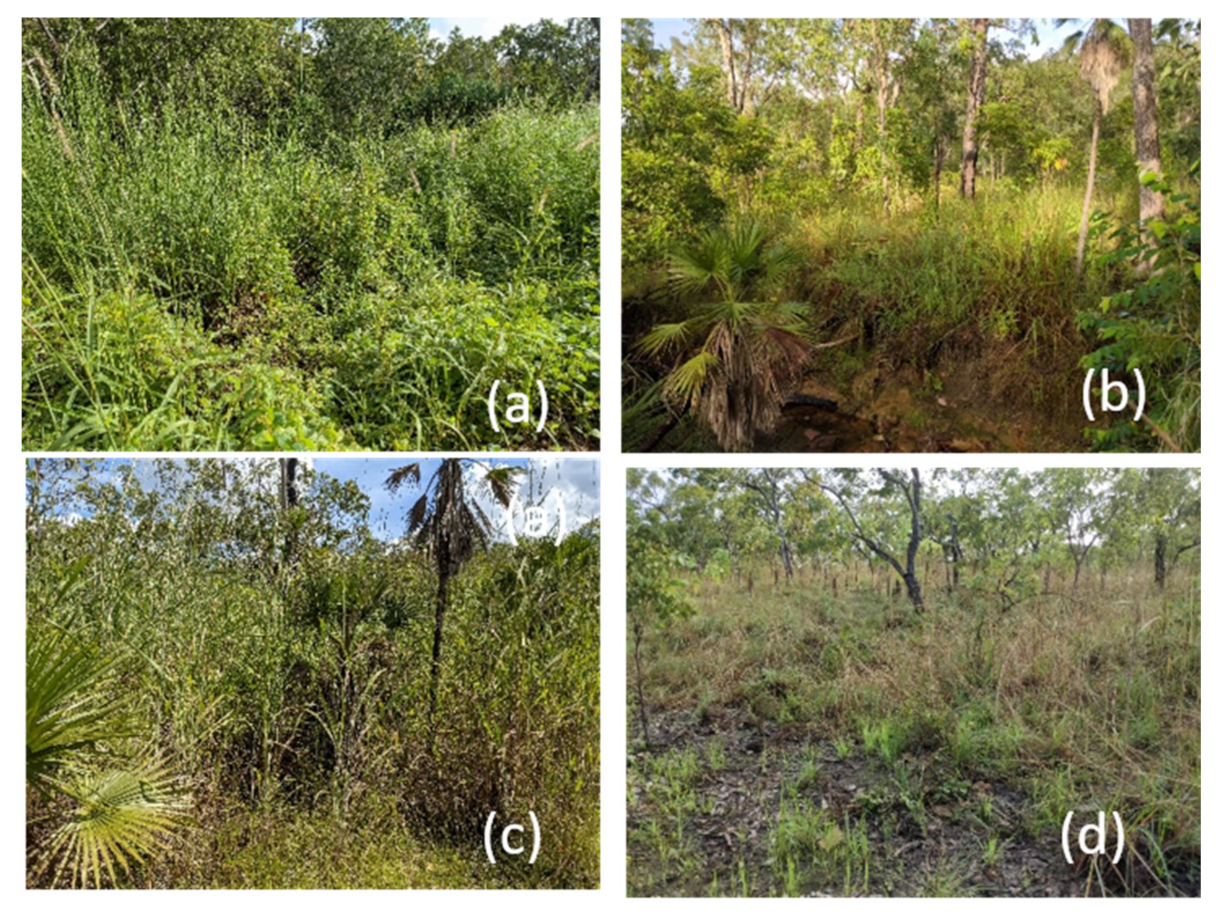 Animals 11 01753 g005 Animals 11 01753 g005