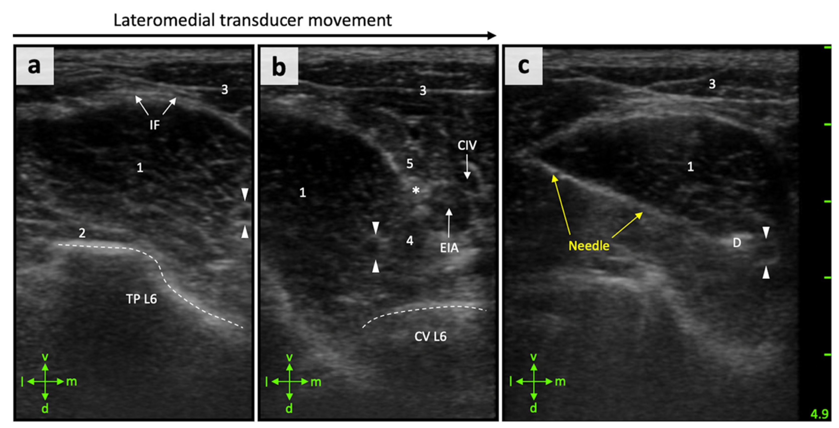 Animals 11 01759 g003 Animals 11 01759 g003