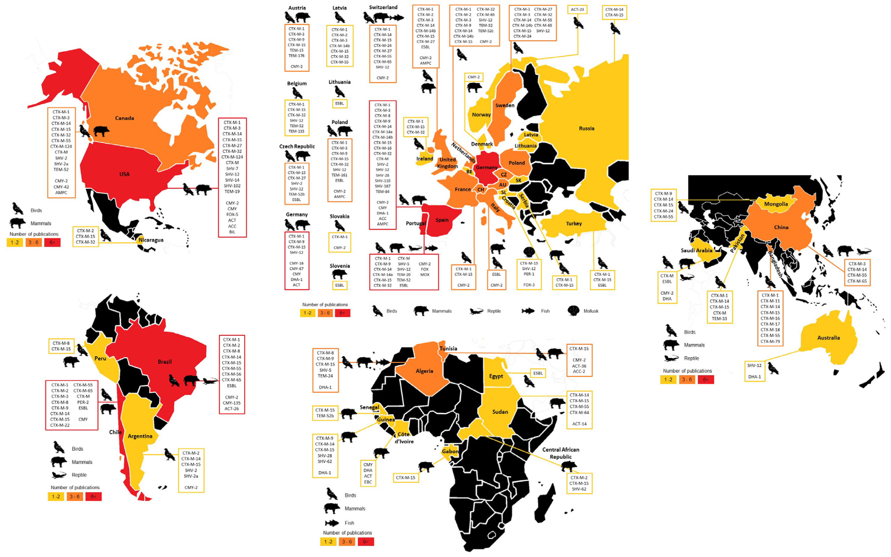 Animals 11 01765 g006