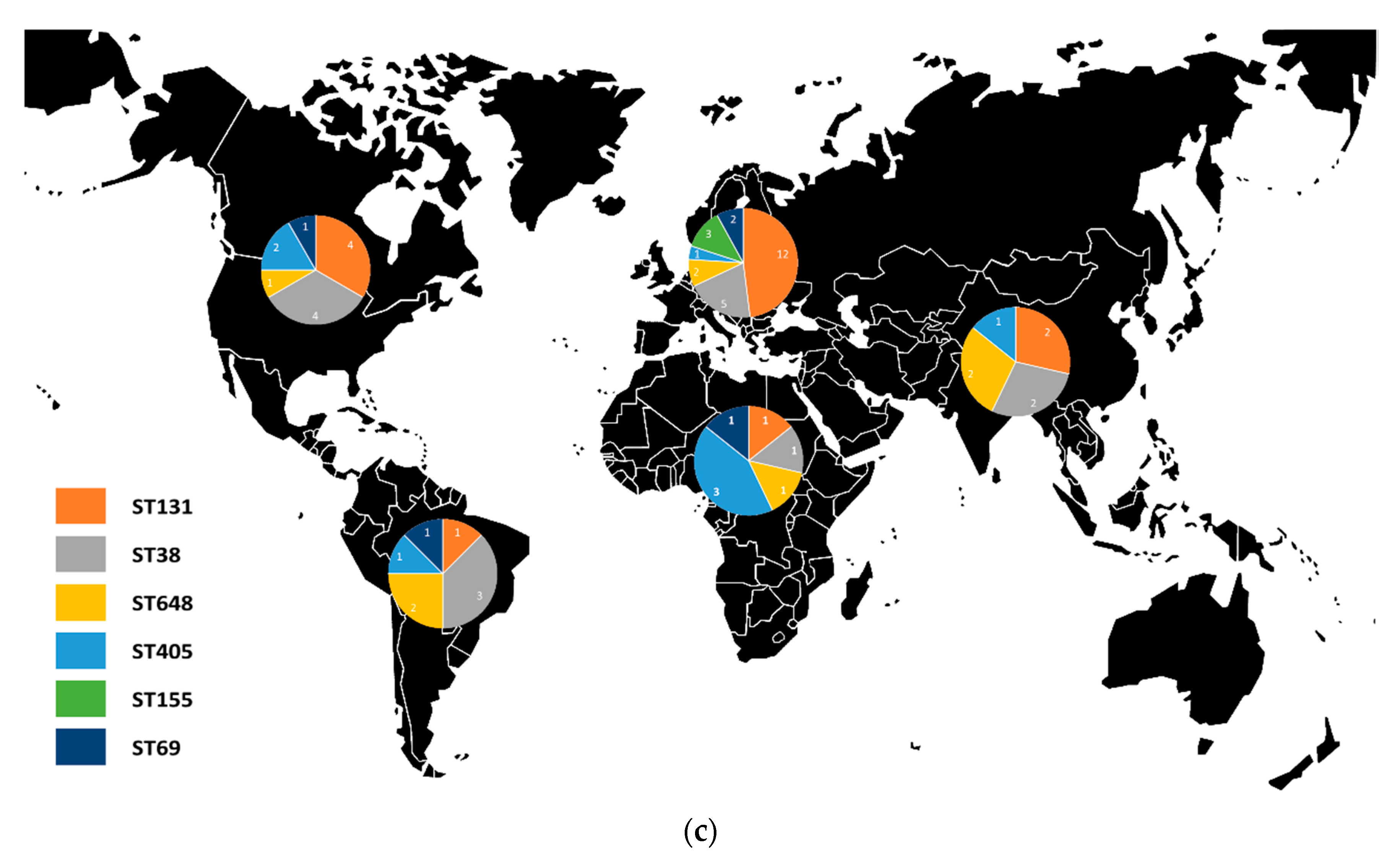 Animals Free Full Text Emergence And Spread Of Cephalosporinases In Wildlife A Review Html Animals Free Full Text Emergence And Spread Of Cephalosporinases In Wildlife A Review Html