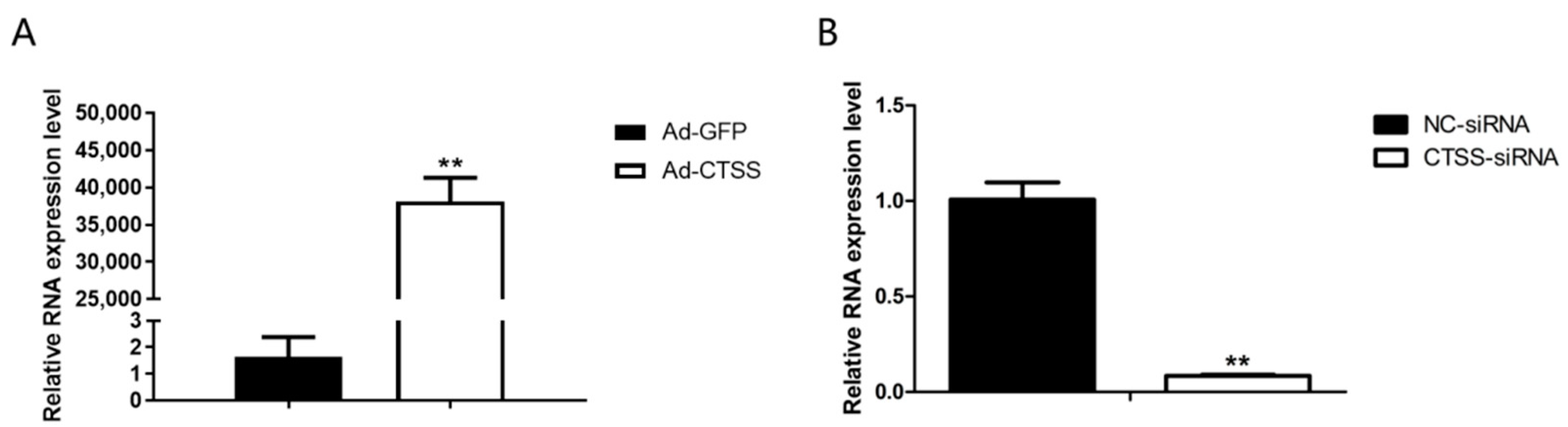 Animals 11 01770 g002 Animals 11 01770 g002
