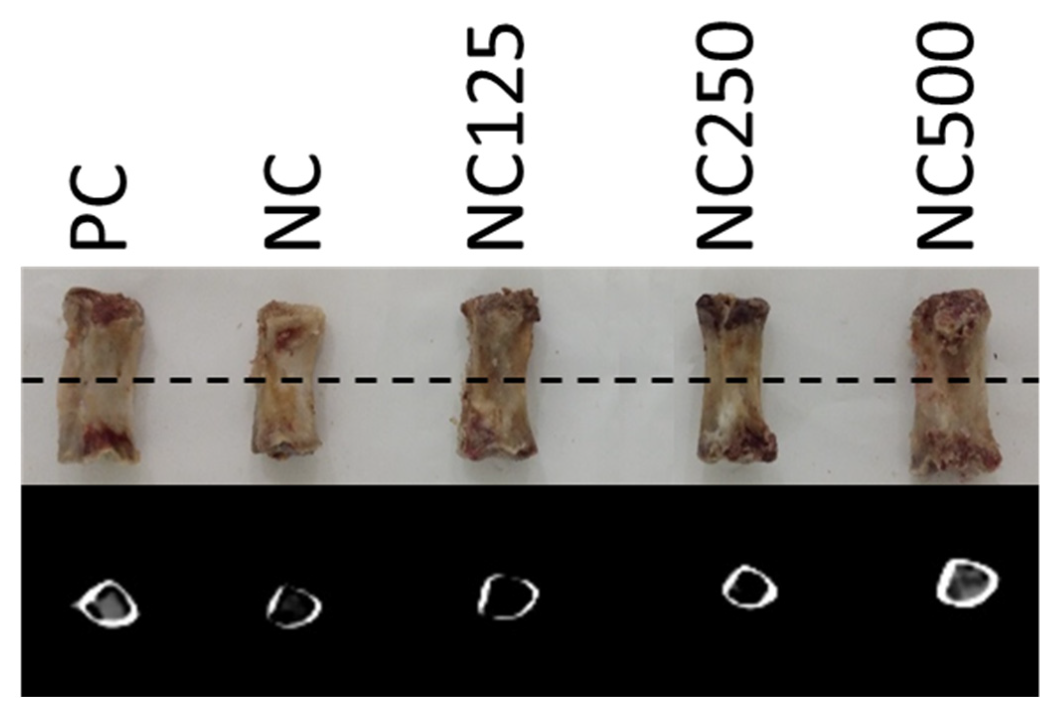 Animals Free Full Text Effects Of Exogenous 6 Phytase Ec 3 1 3 26 Supplementation On Performance Calcium And Phosphorous Digestibility And Bone Mineralisation And Density In Weaned Piglets Html