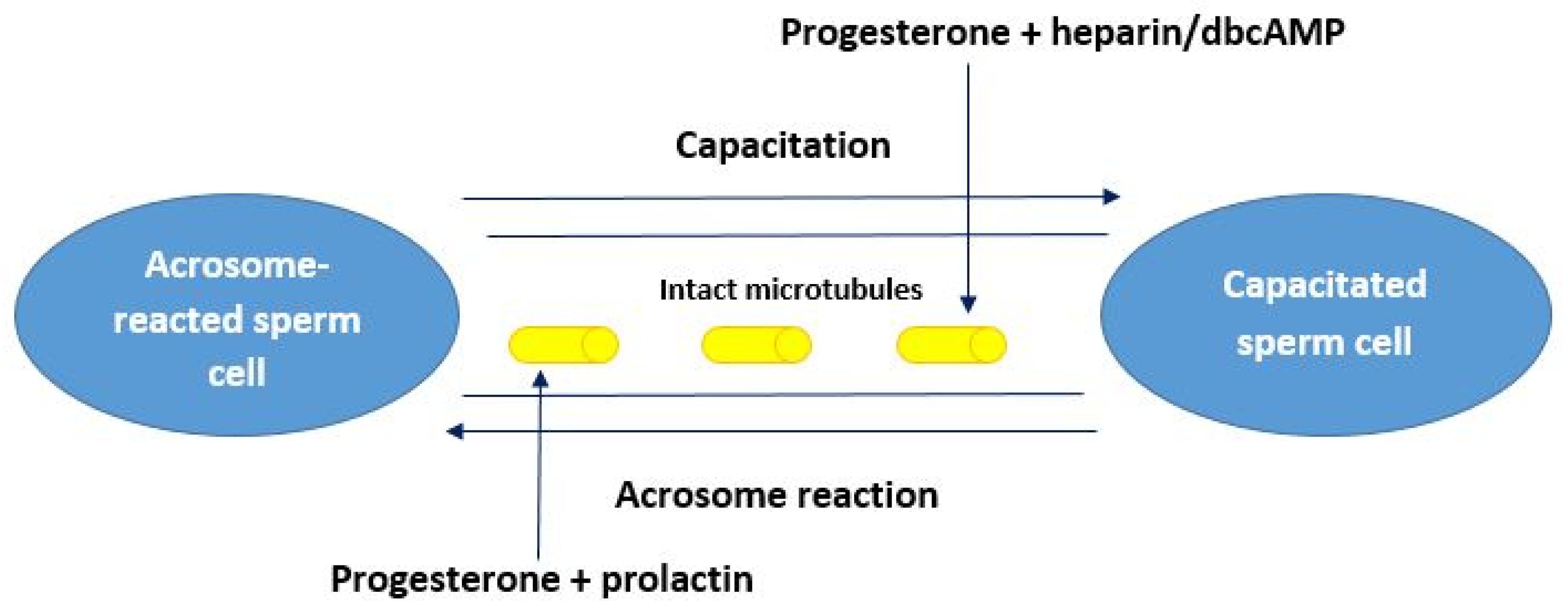 Animals 11 01788 g007 Animals 11 01788 g007