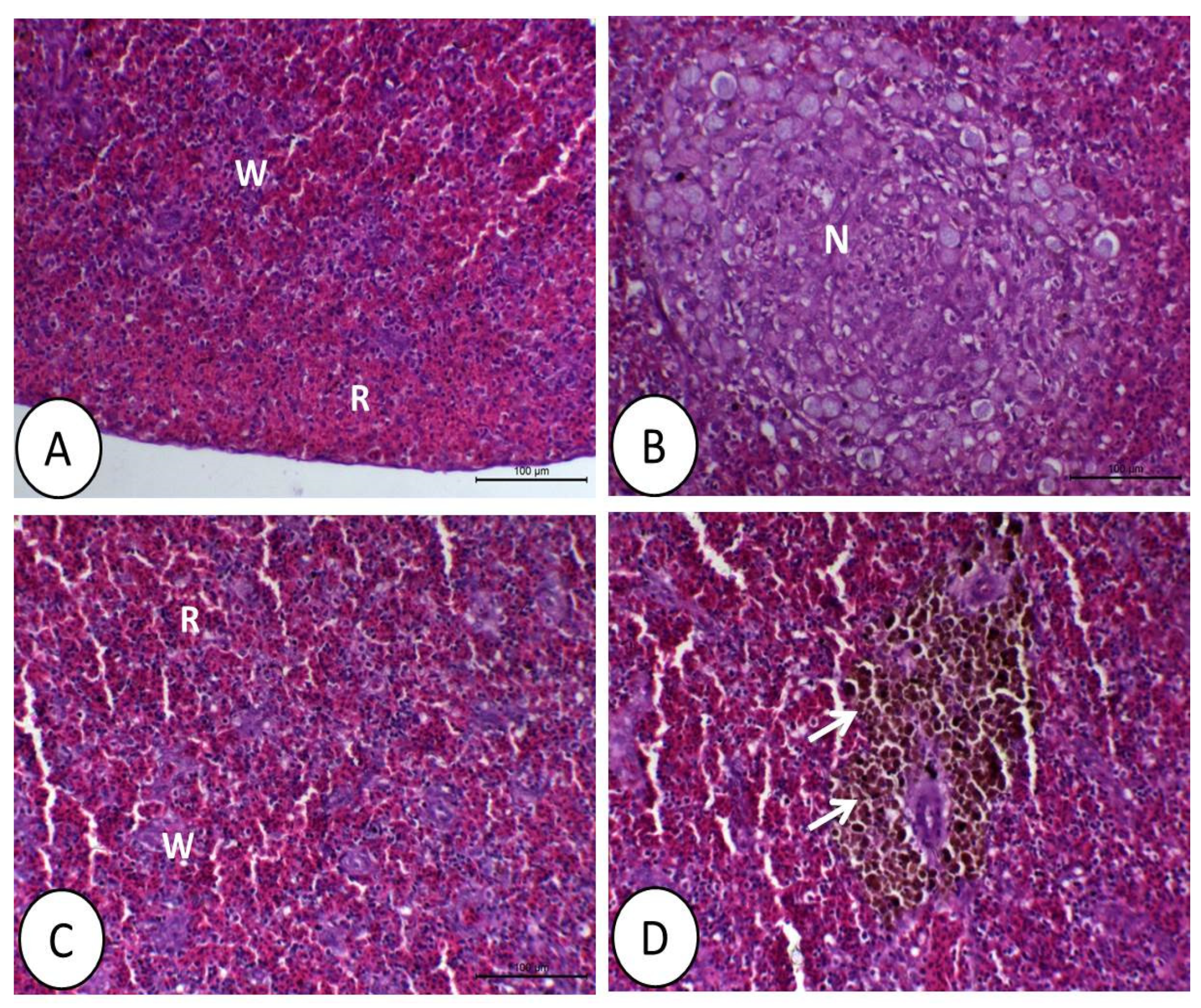 Animals 11 01790 g005 Animals 11 01790 g005