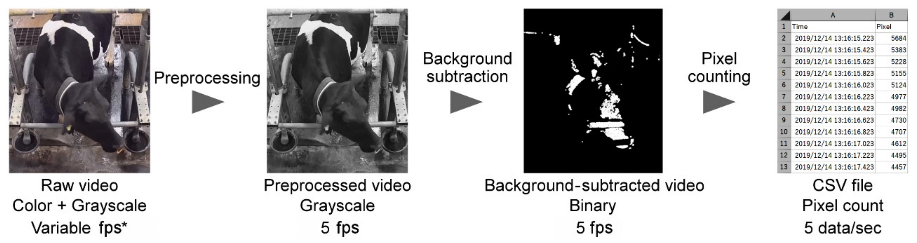 Animals 11 01795 g002