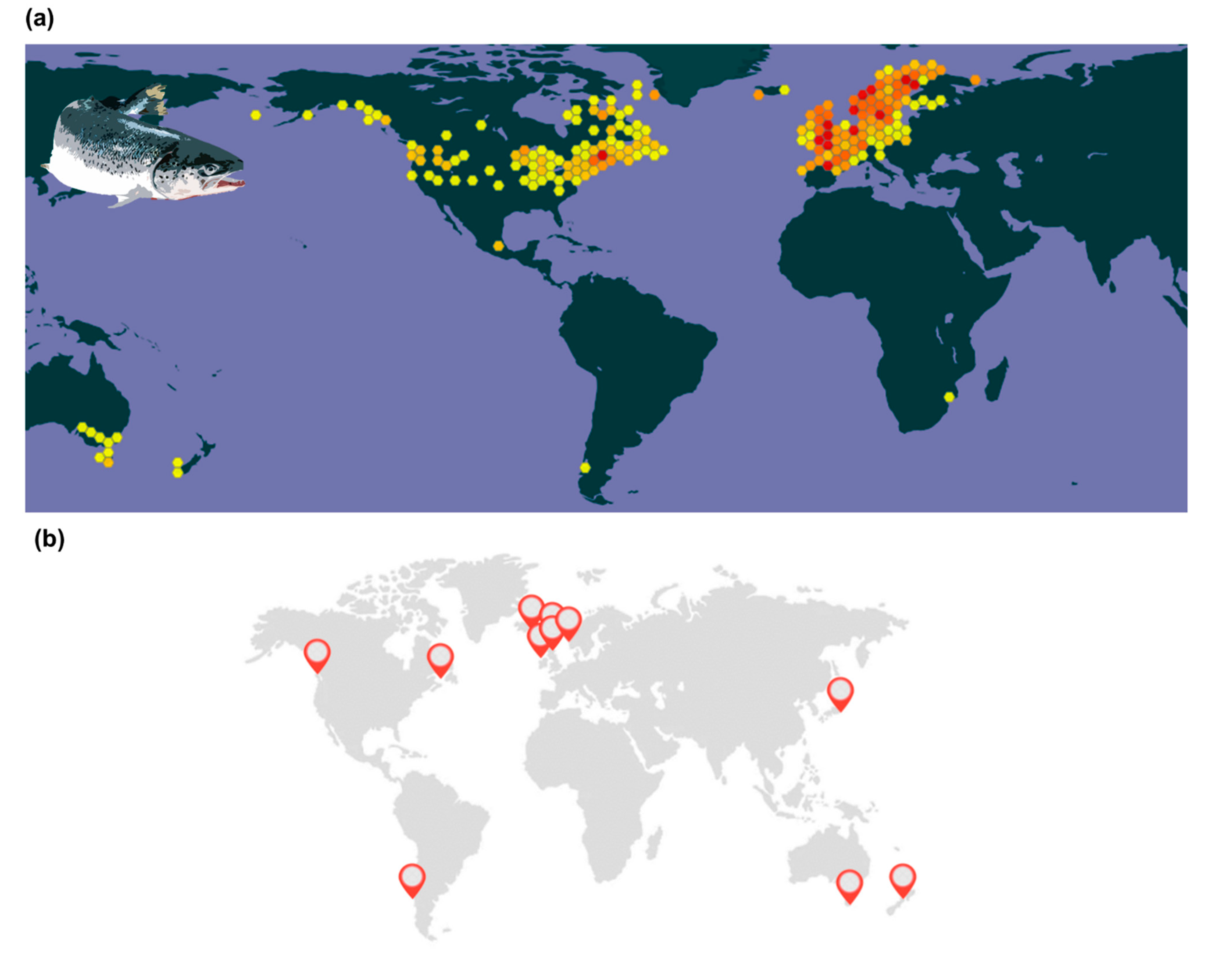 Animals 11 01800 g002