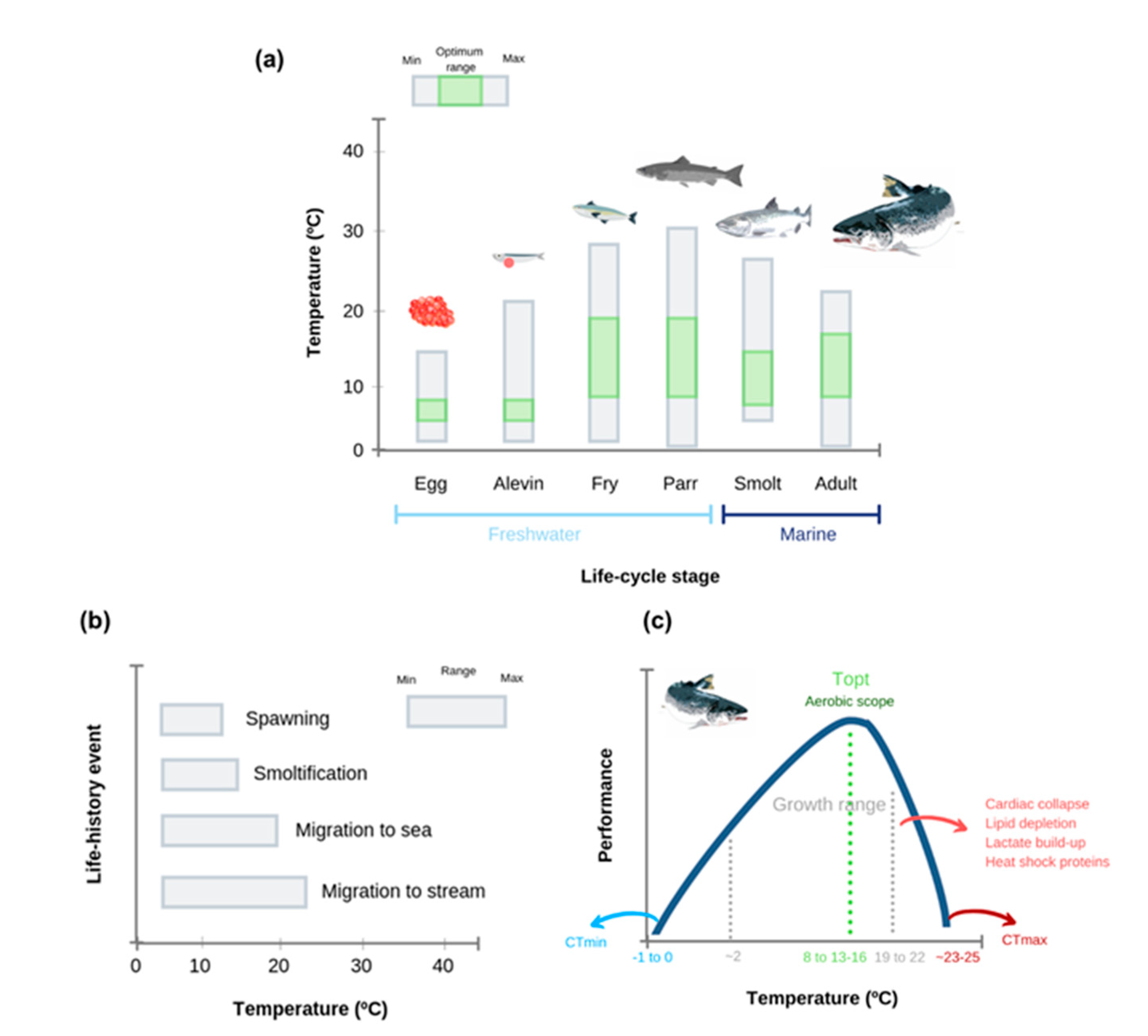Animals 11 01800 g003