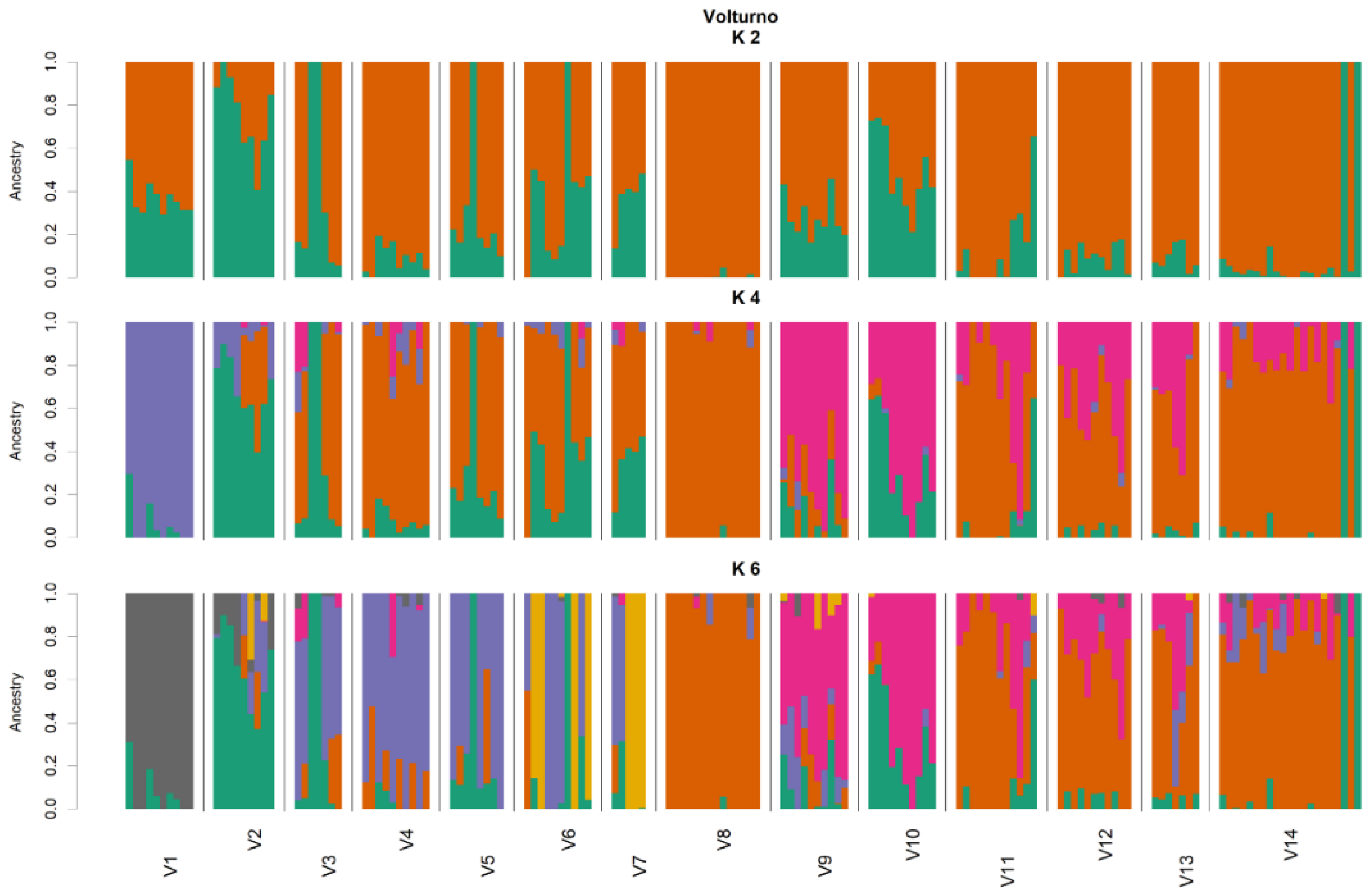 Animals 11 01803 g007