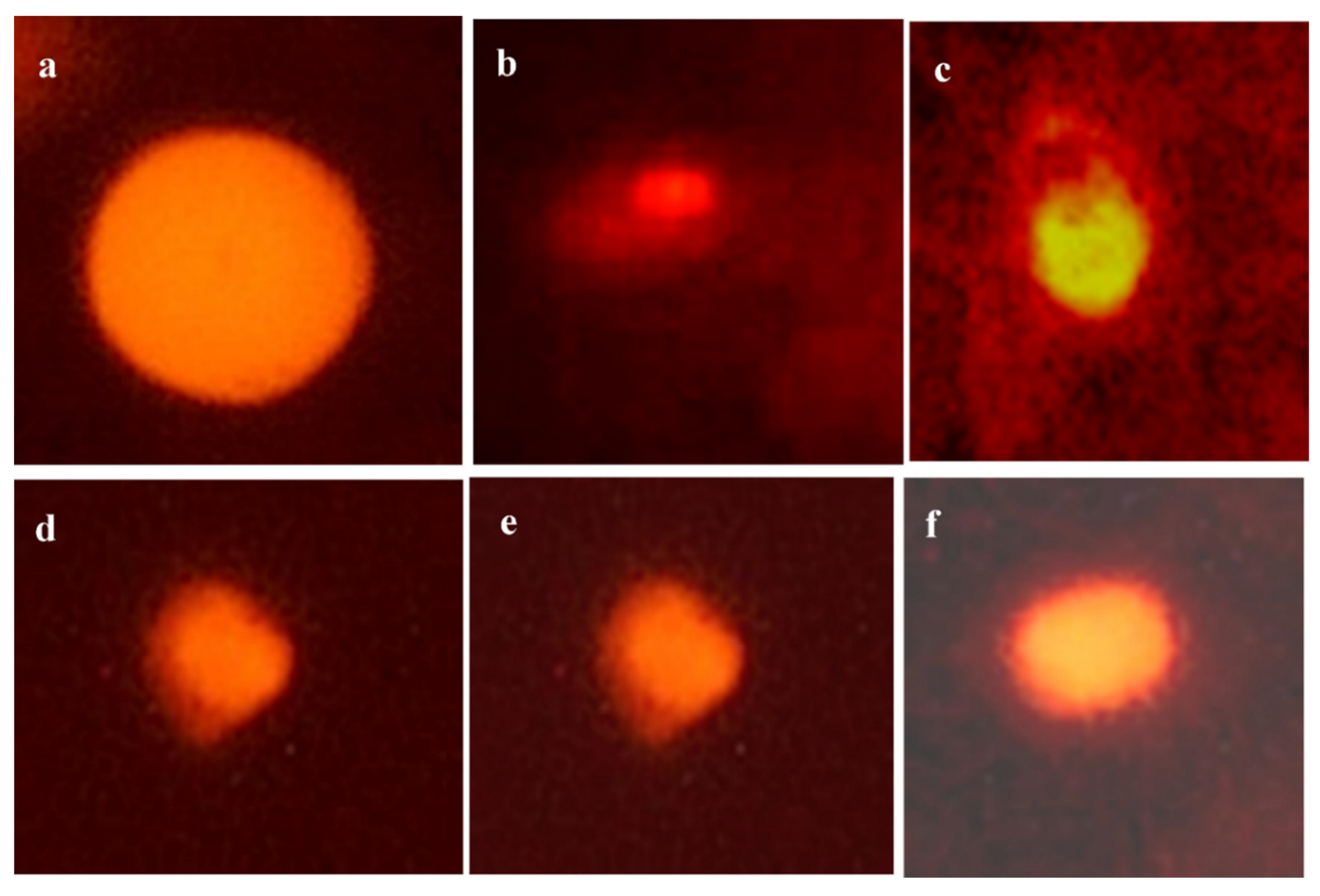 Animals 11 01811 g001 Animals 11 01811 g001