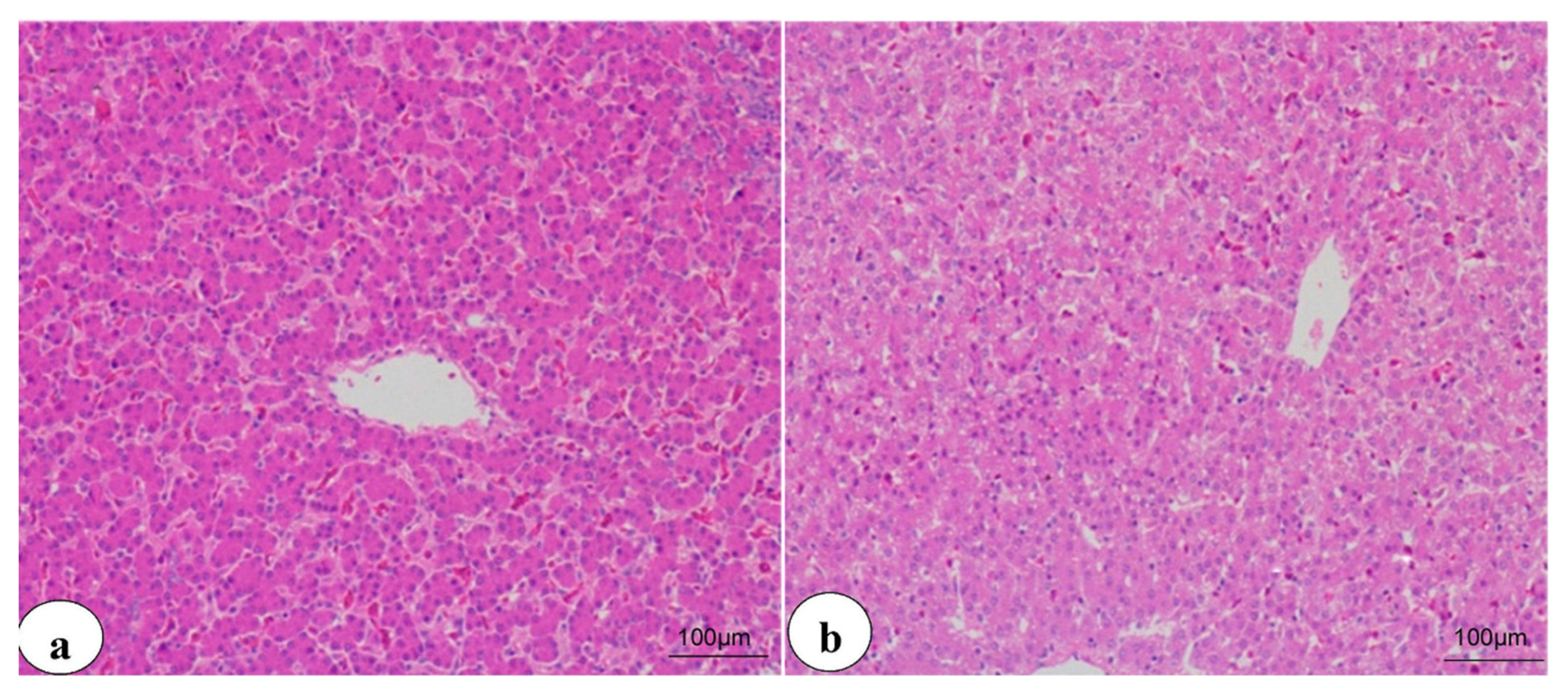 Animals 11 01811 g002 Animals 11 01811 g002