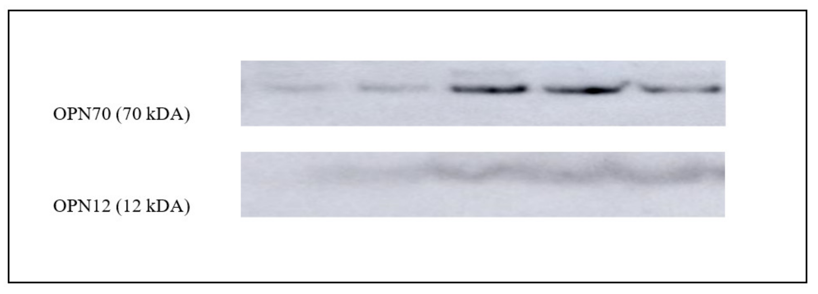 Animals 11 01813 g002