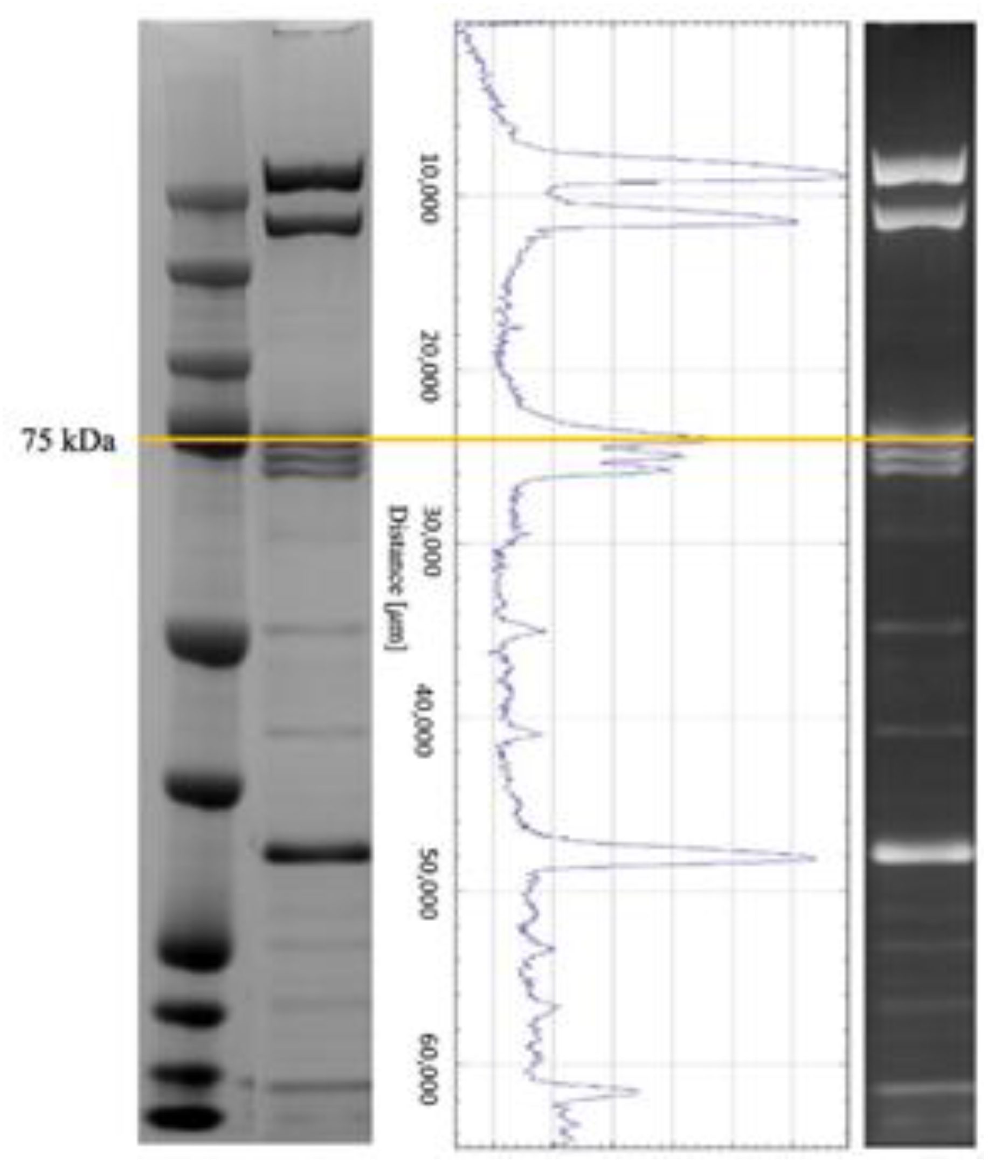 Animals 11 01823 g003