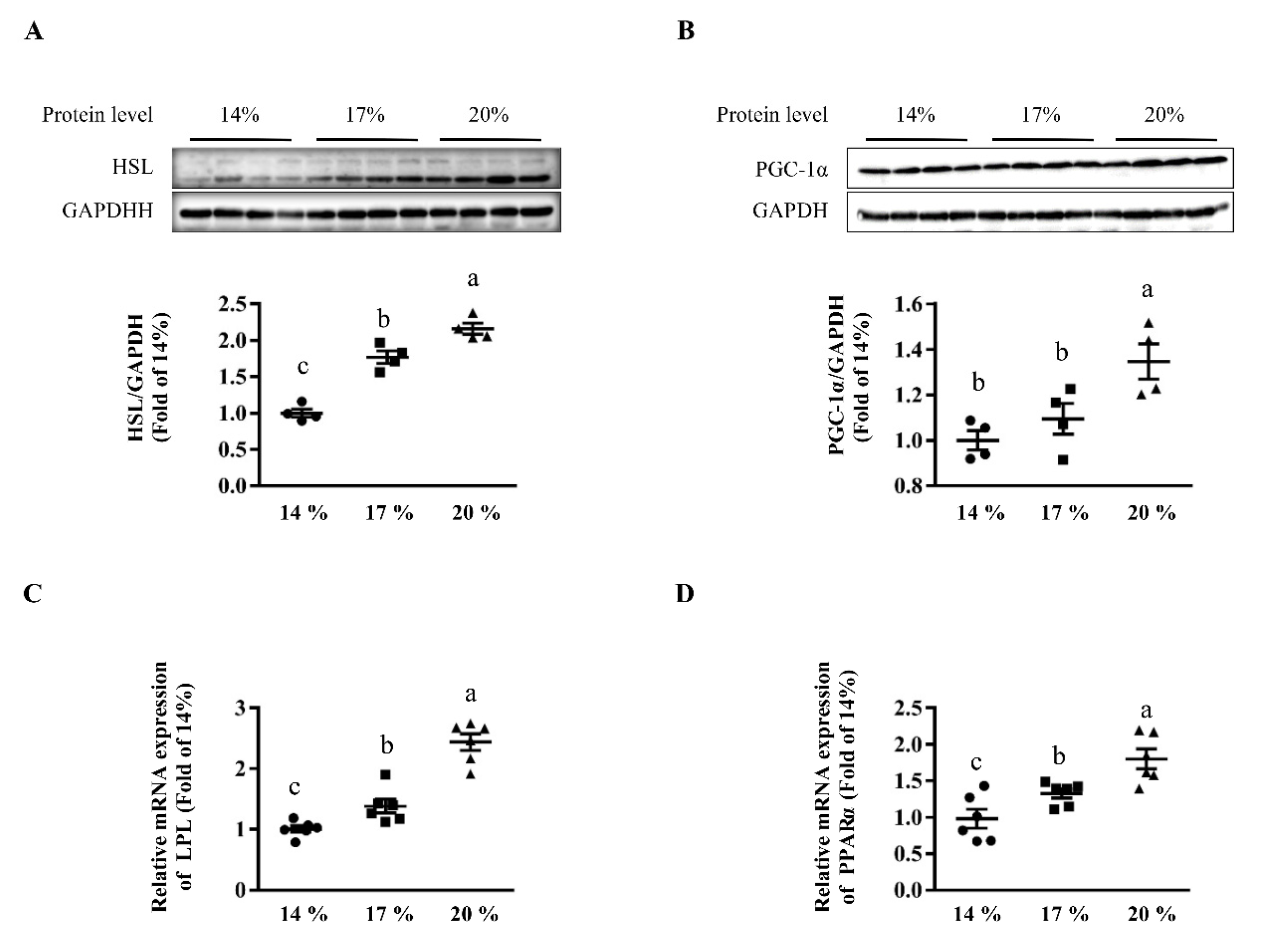 Animals 11 01829 g0a3 Animals 11 01829 g0a3