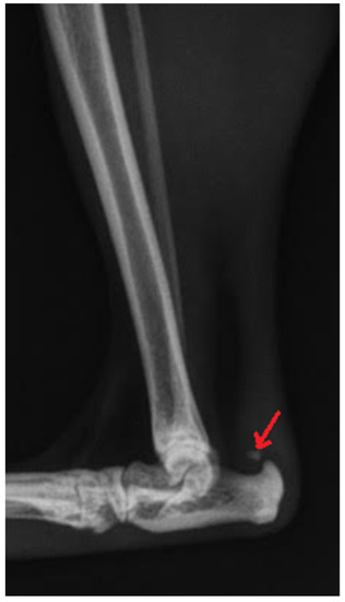 adaptive radiography free download pdf quin