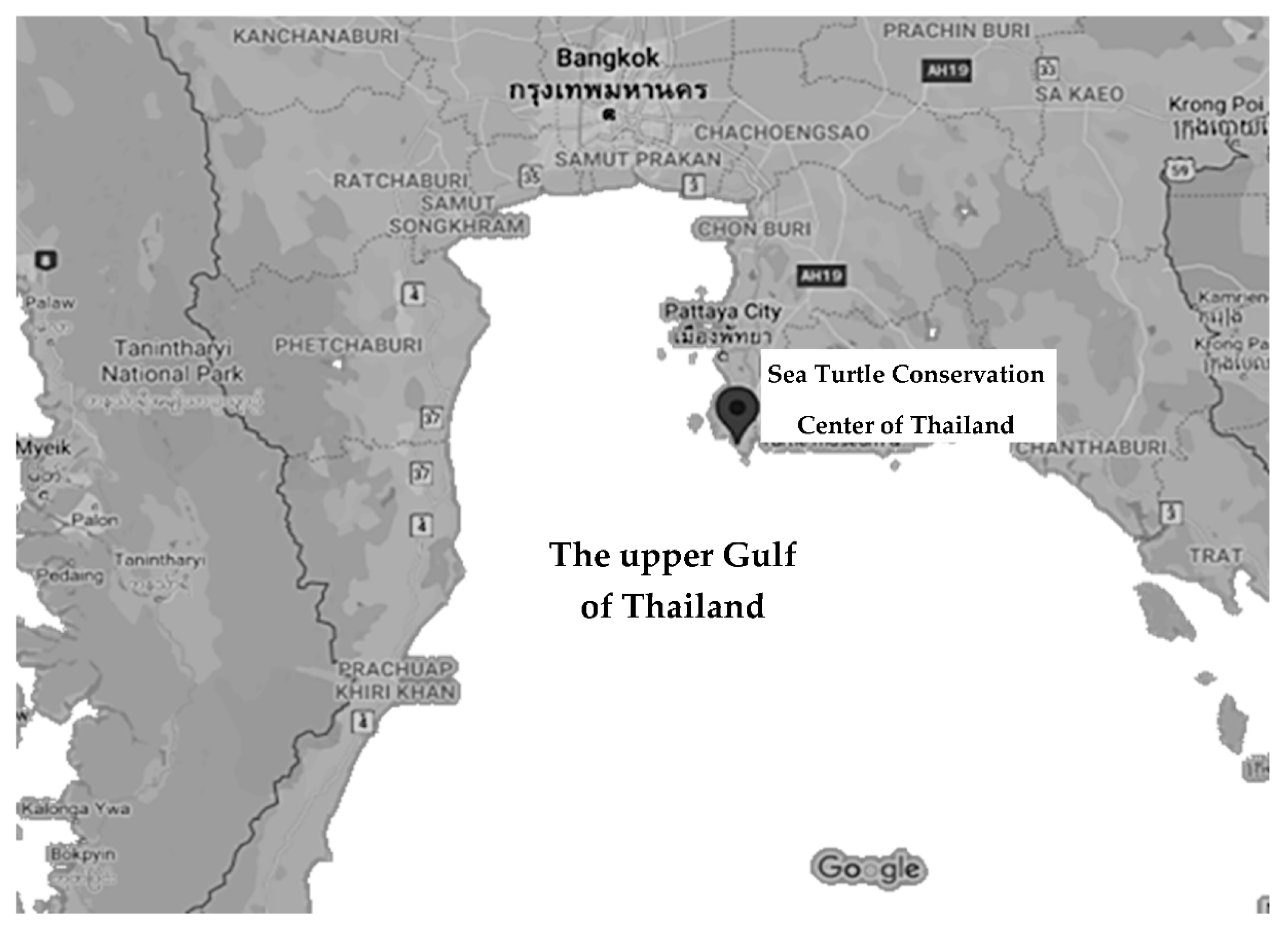 Animals 11 01841 g001 550