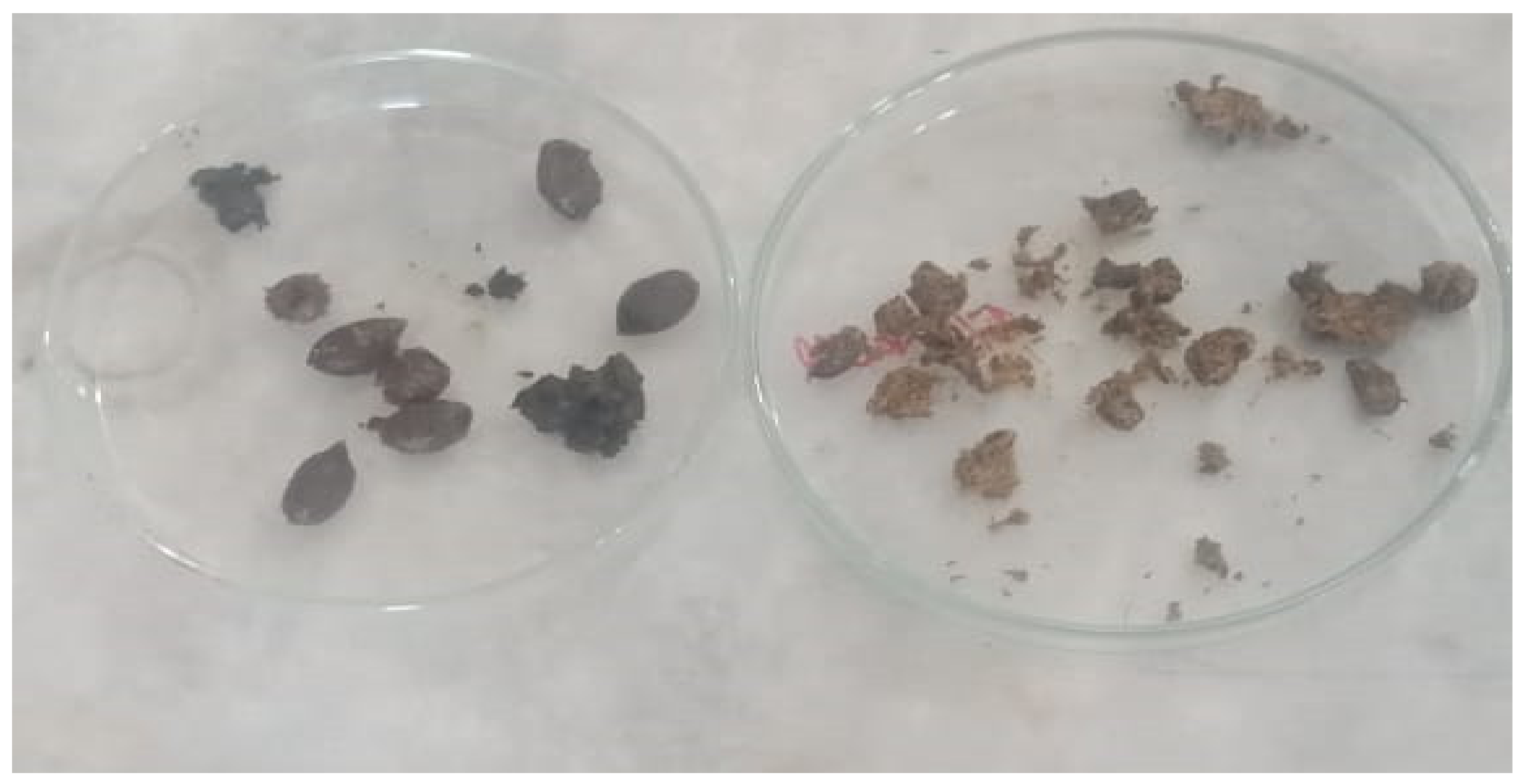 Animals 11 01843 g002 550