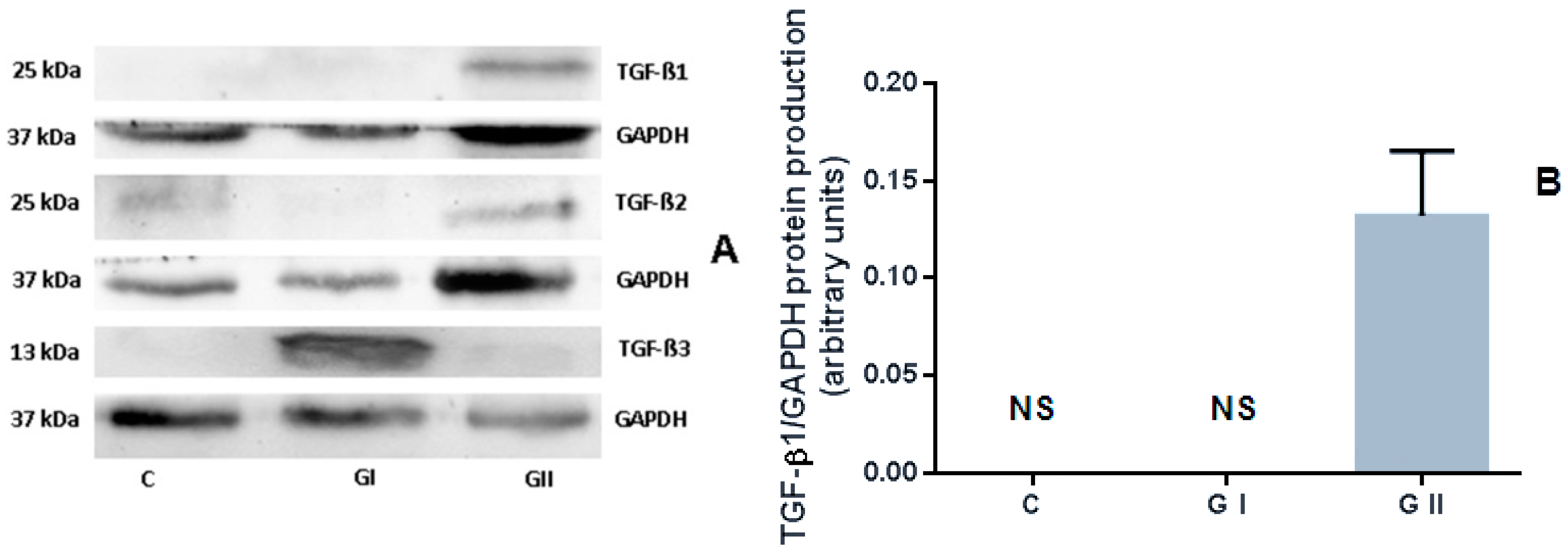 Animals 11 01844 g003a 550