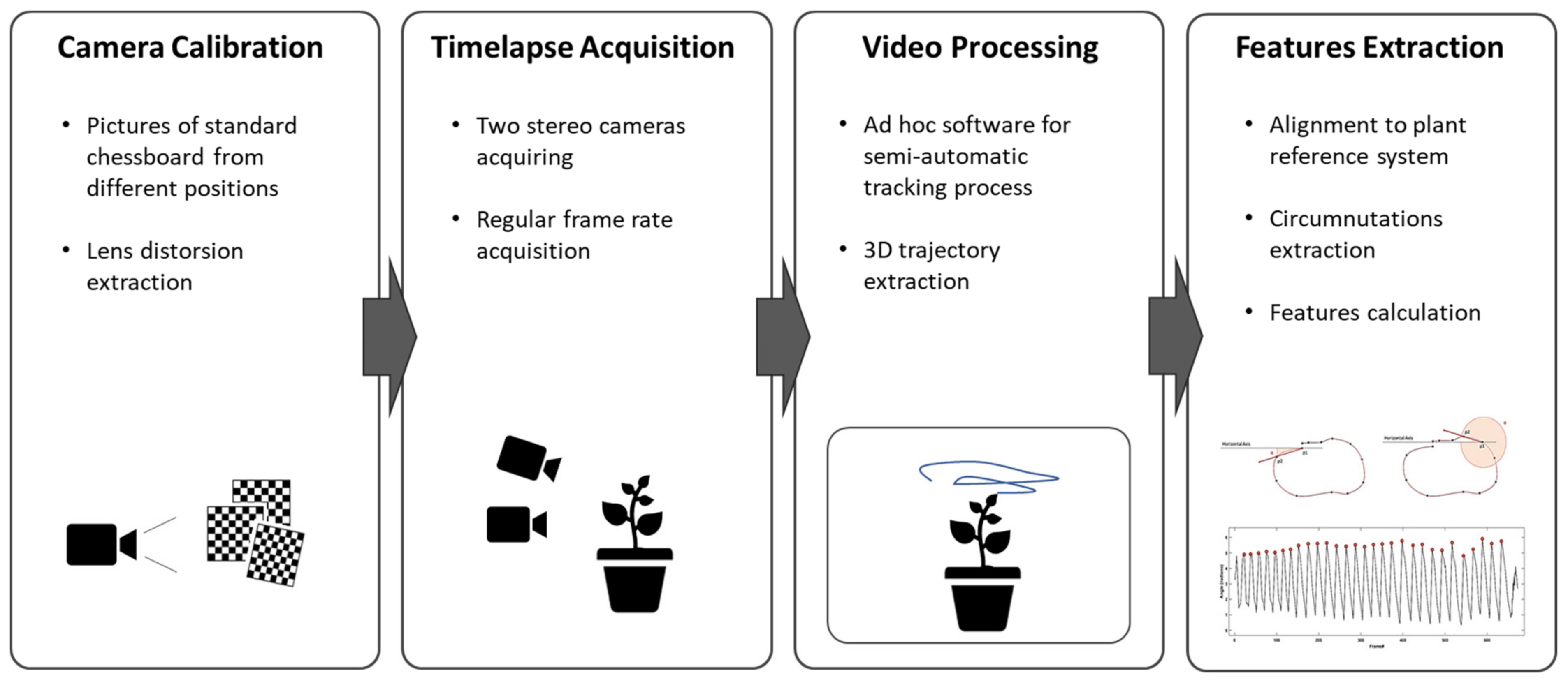 Animals Free FullText Can Plants Move Like Animals? A Three