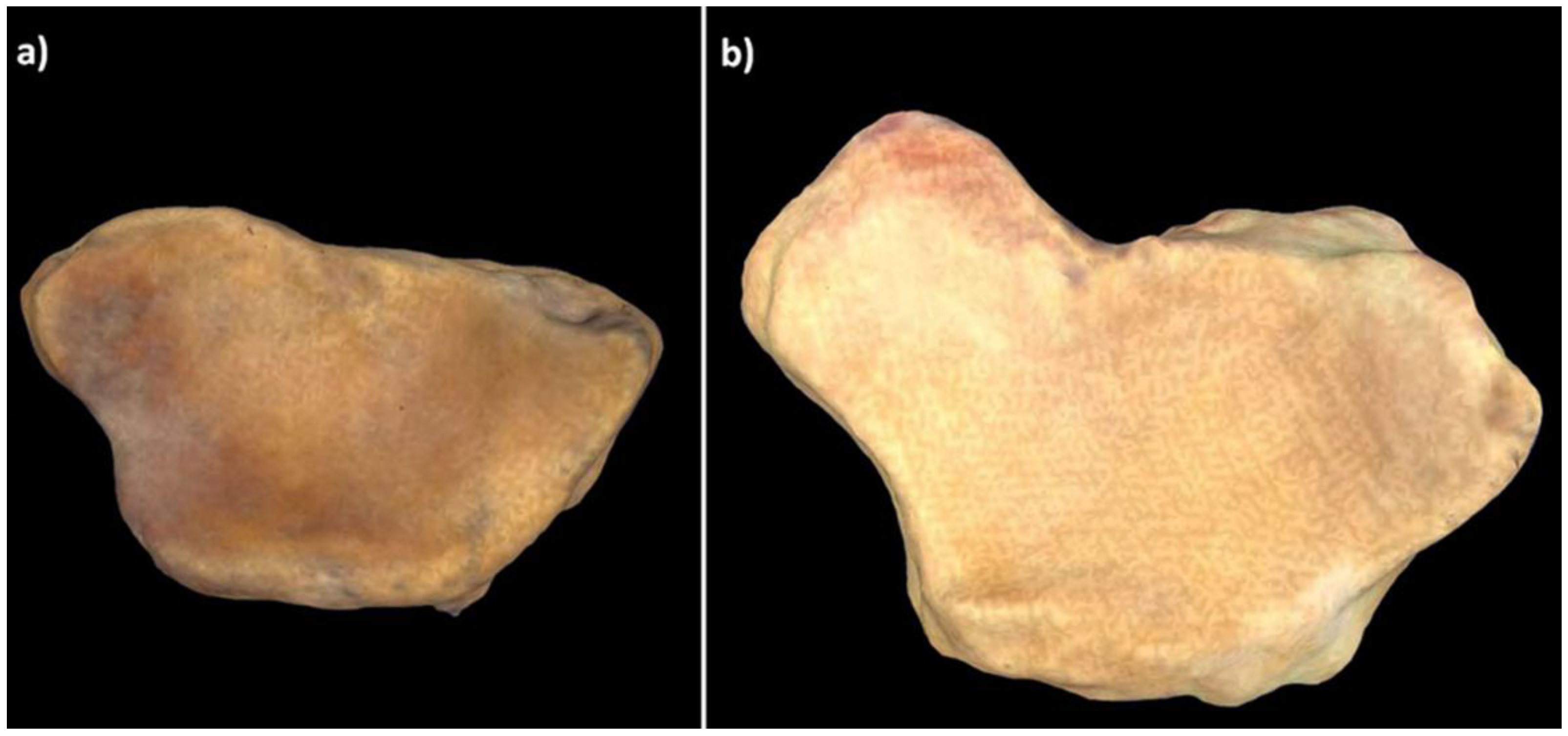 Animals 11 01856 g003