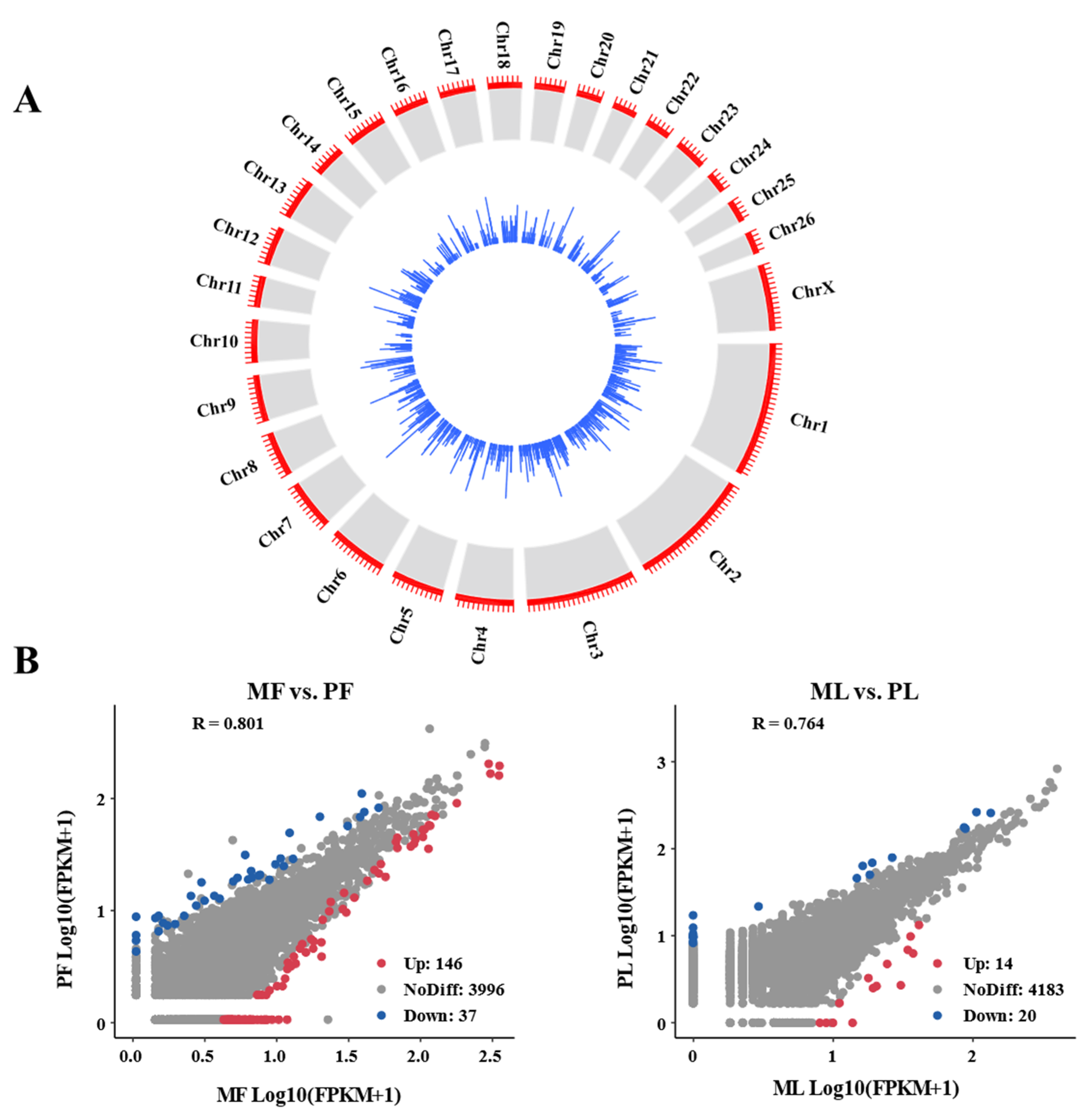 Animals 11 01863 g001 550