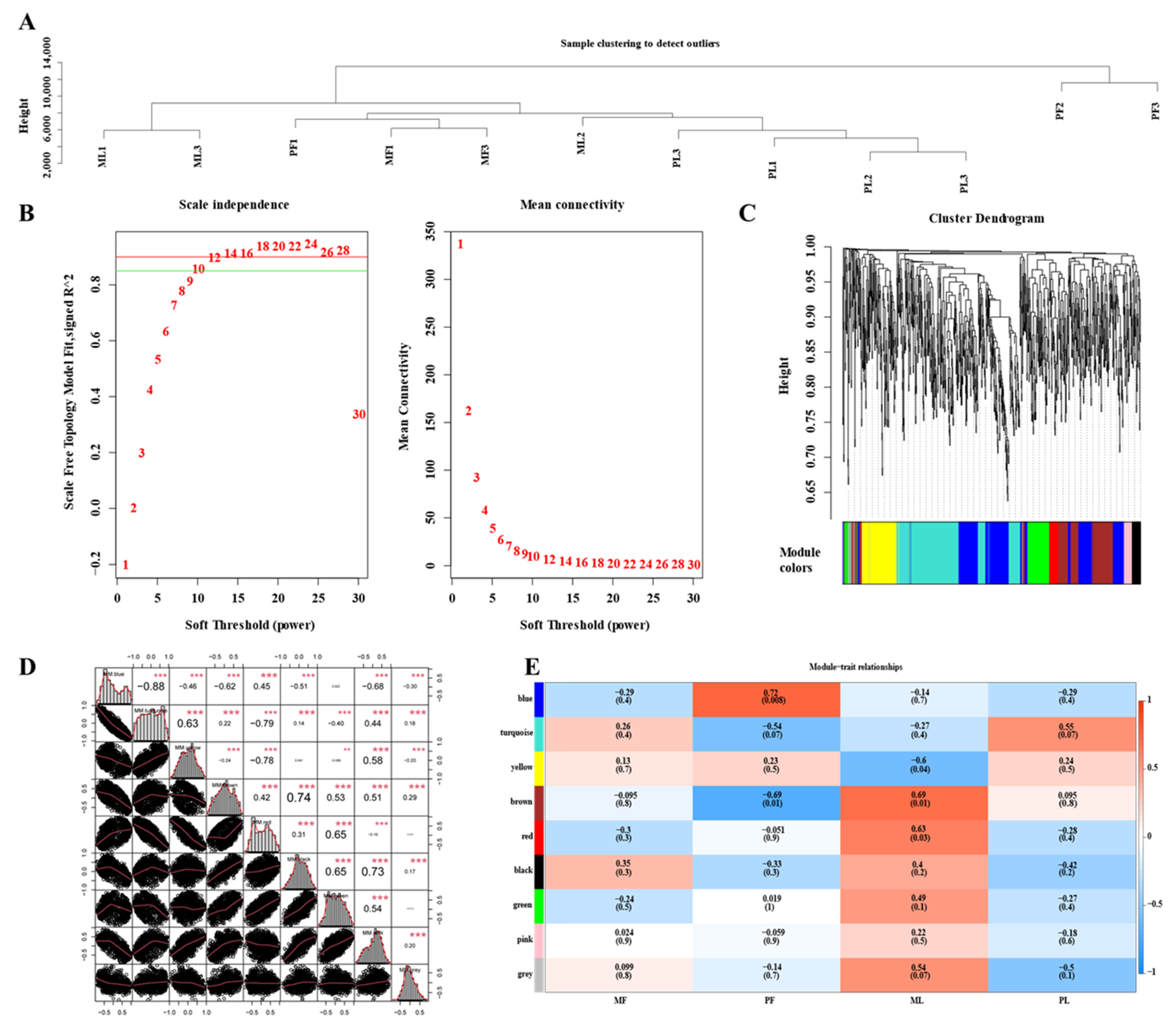 Animals 11 01863 g005 550