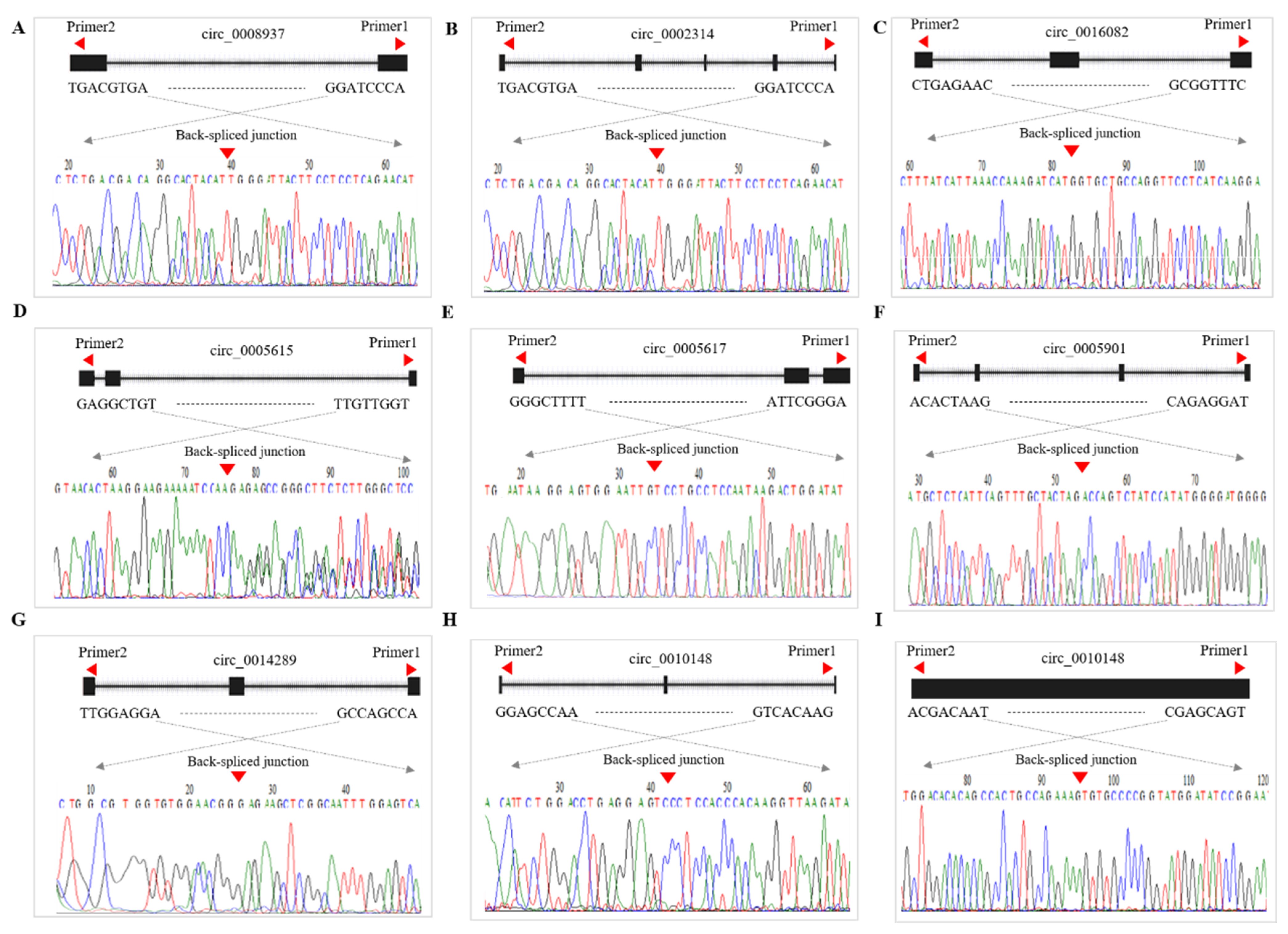 Animals 11 01863 g007 550