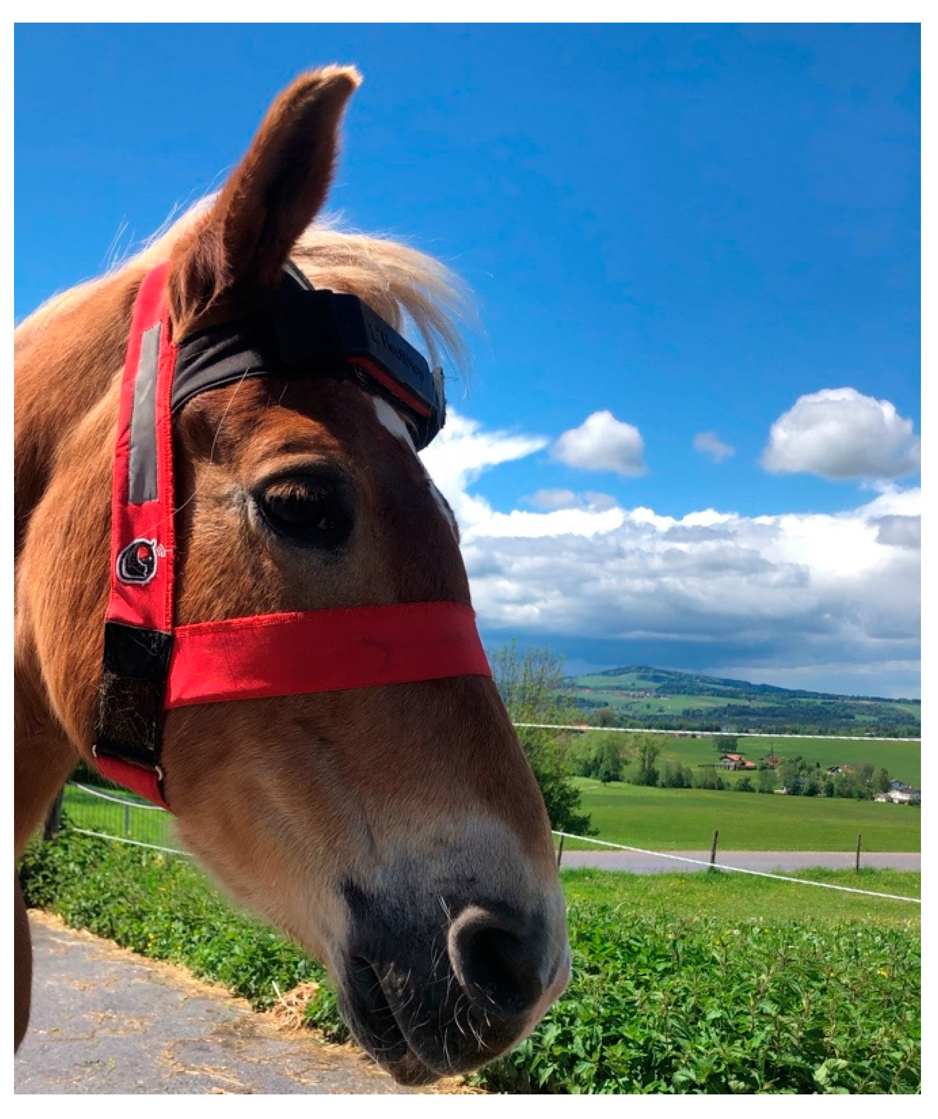 Animals 11 01867 g001 550