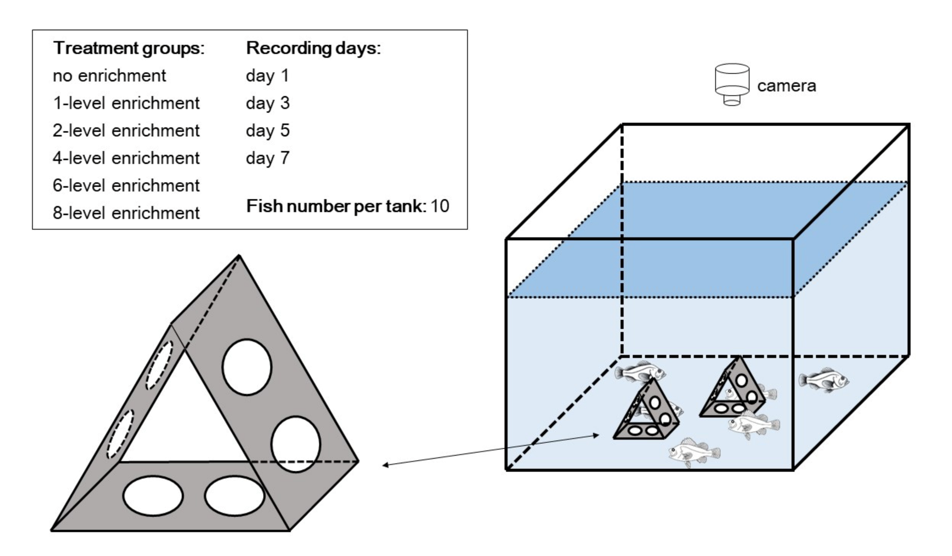 Animals 11 01868 g001