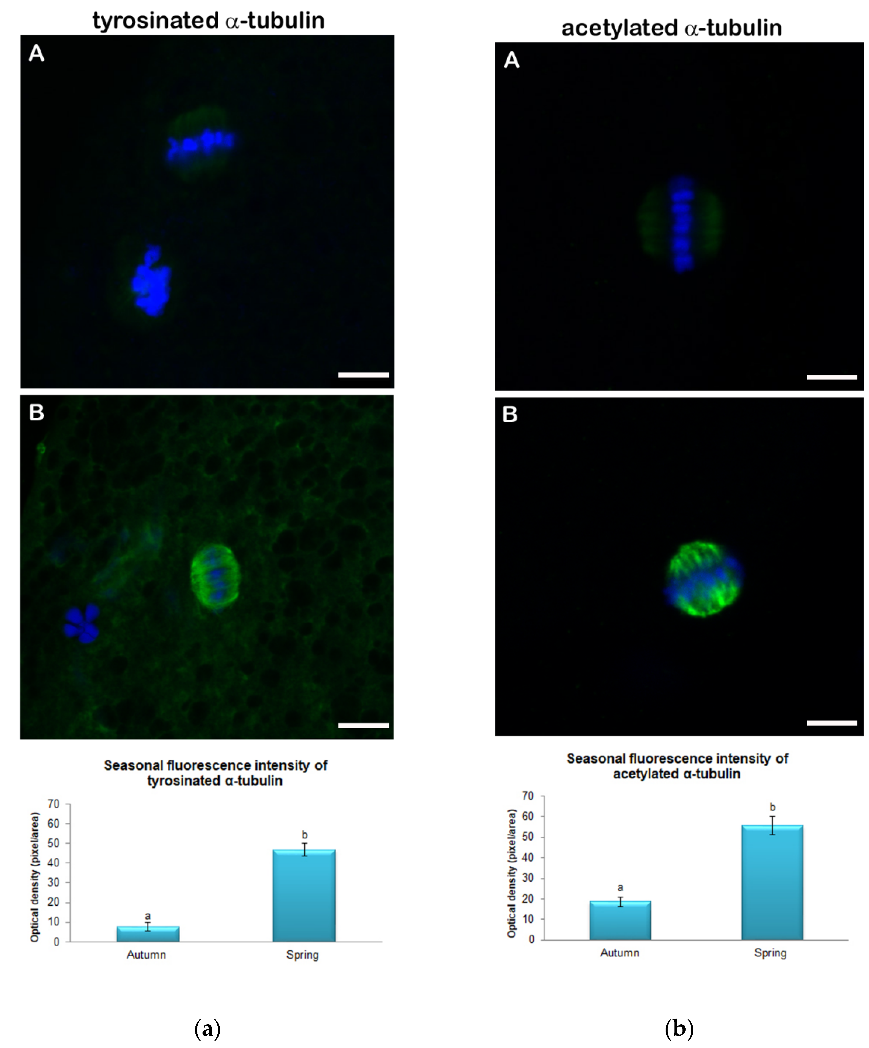 Animals 11 01886 g002