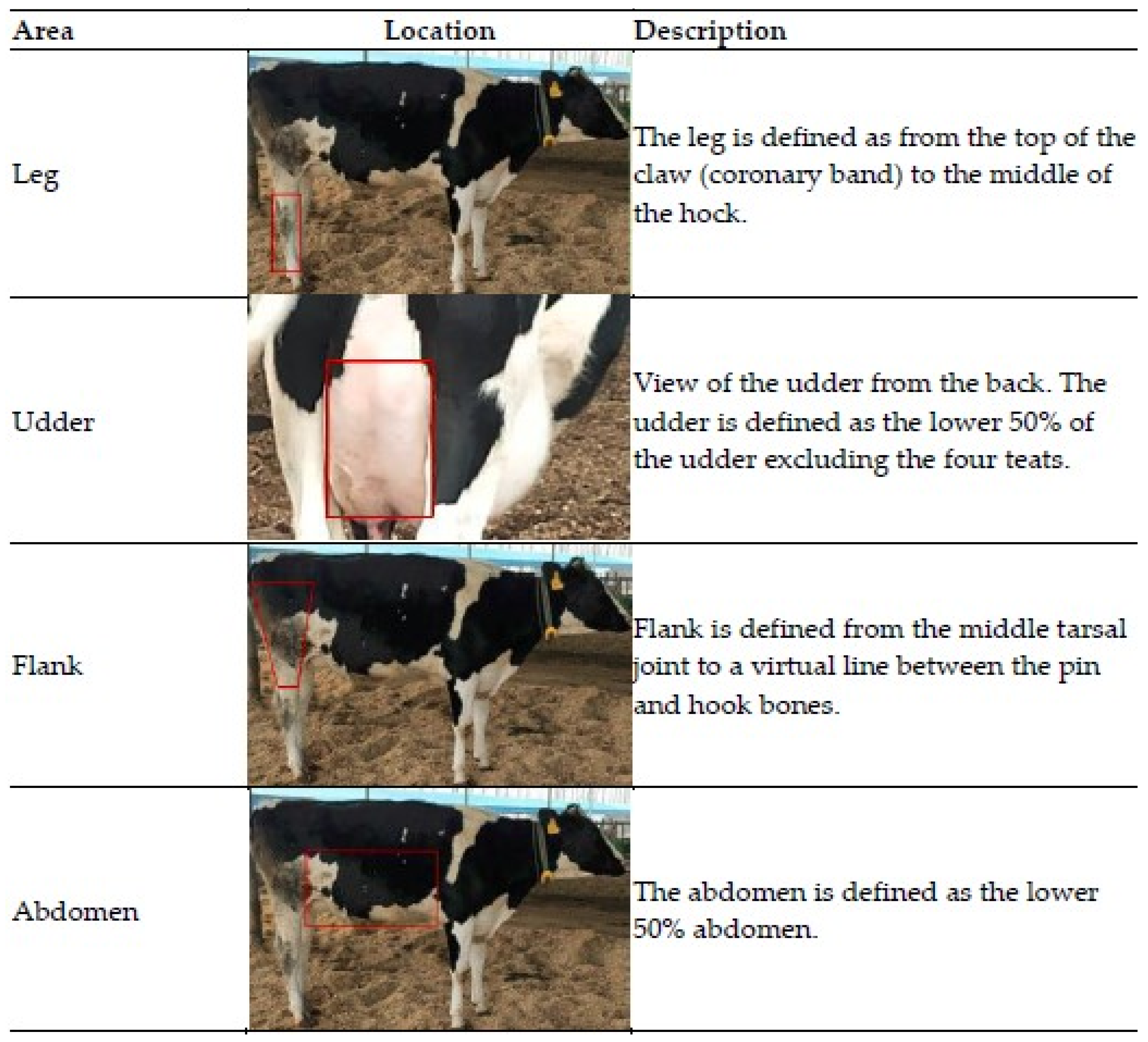 Animals Free FullText A Comparison of Rice Husks and Peanut Shells