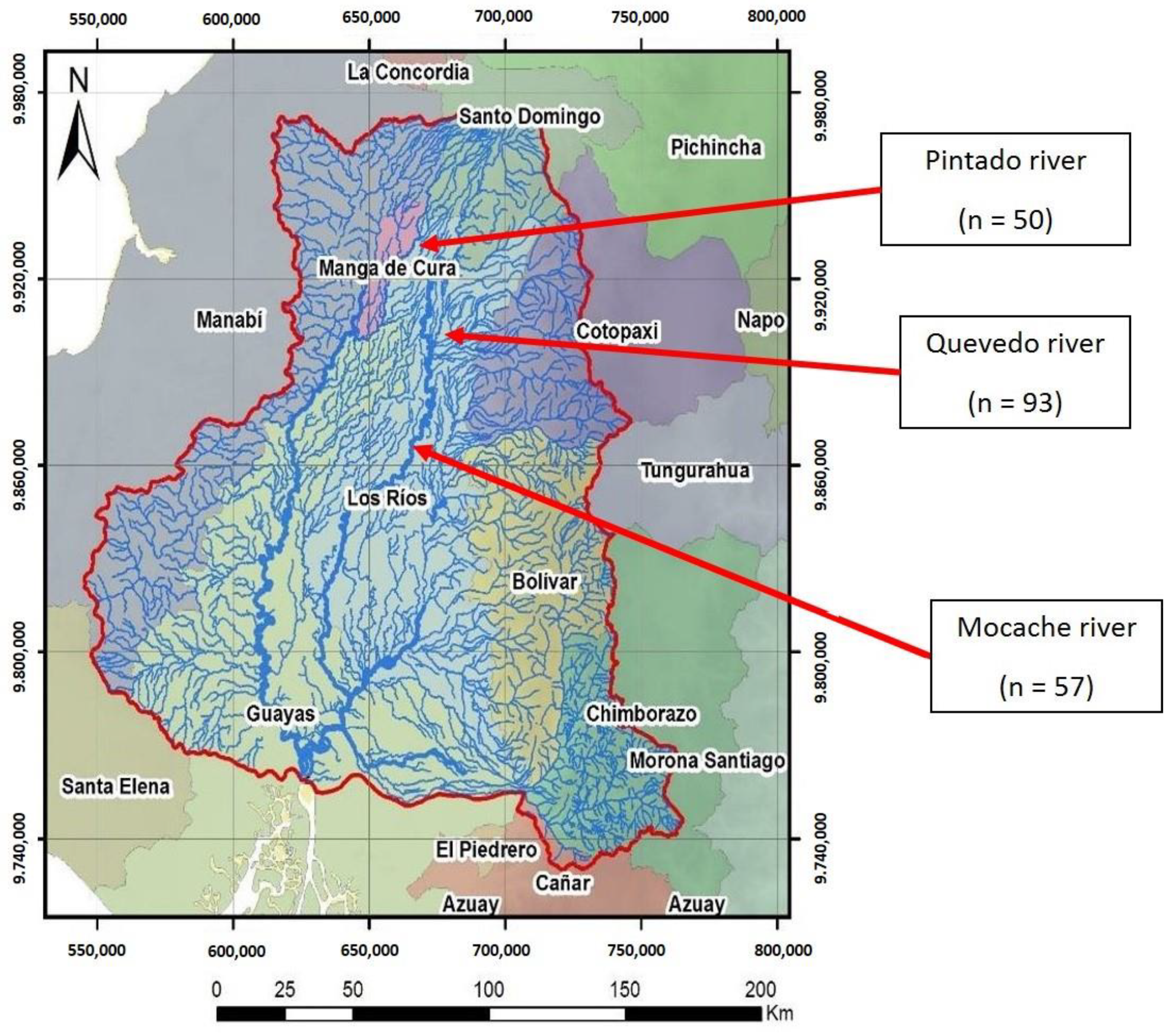 Animals 11 01901 g001