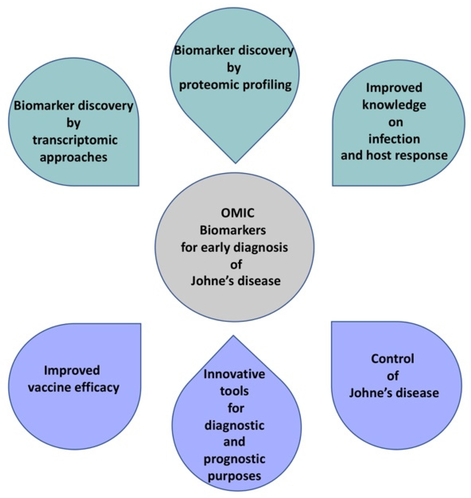 Animals 11 01912 g001 550