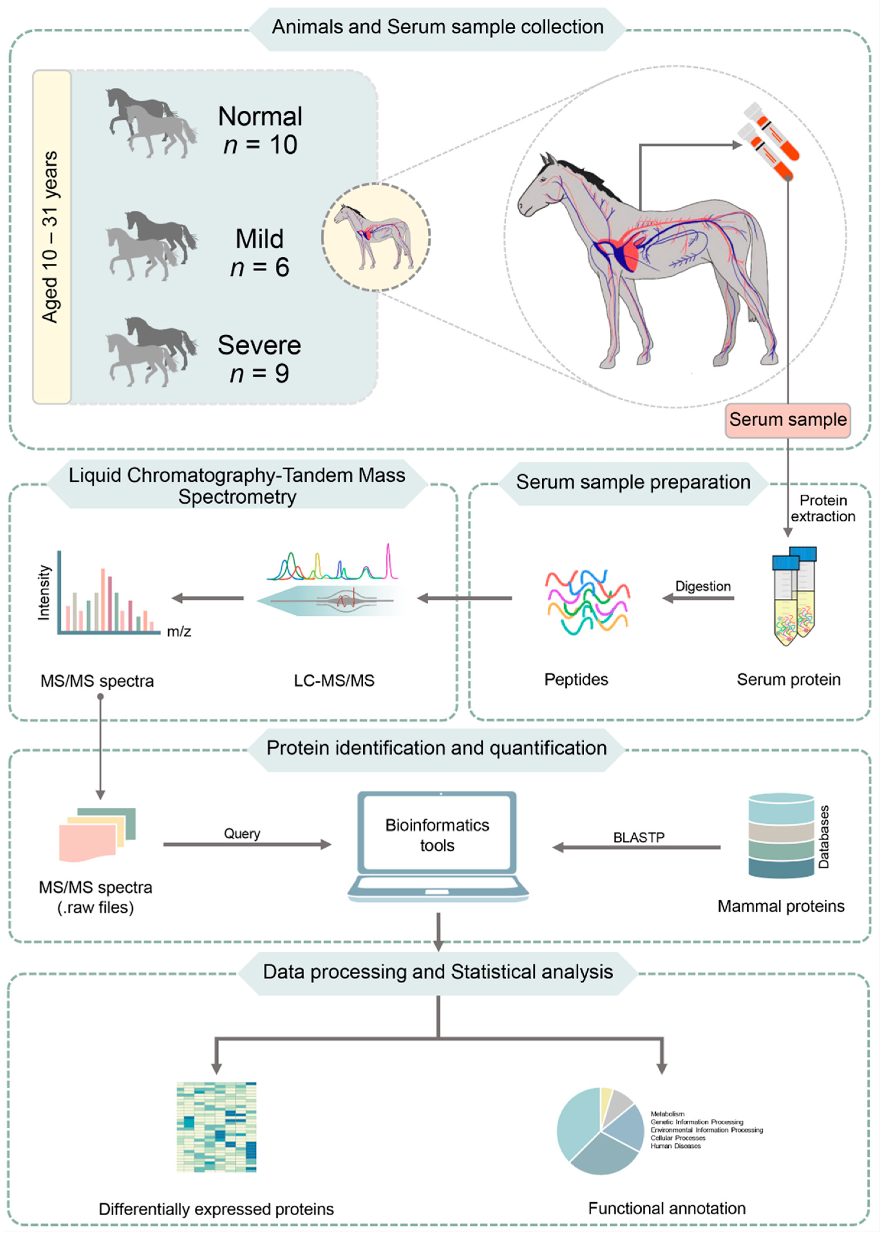 Animals 11 01913 g001 550