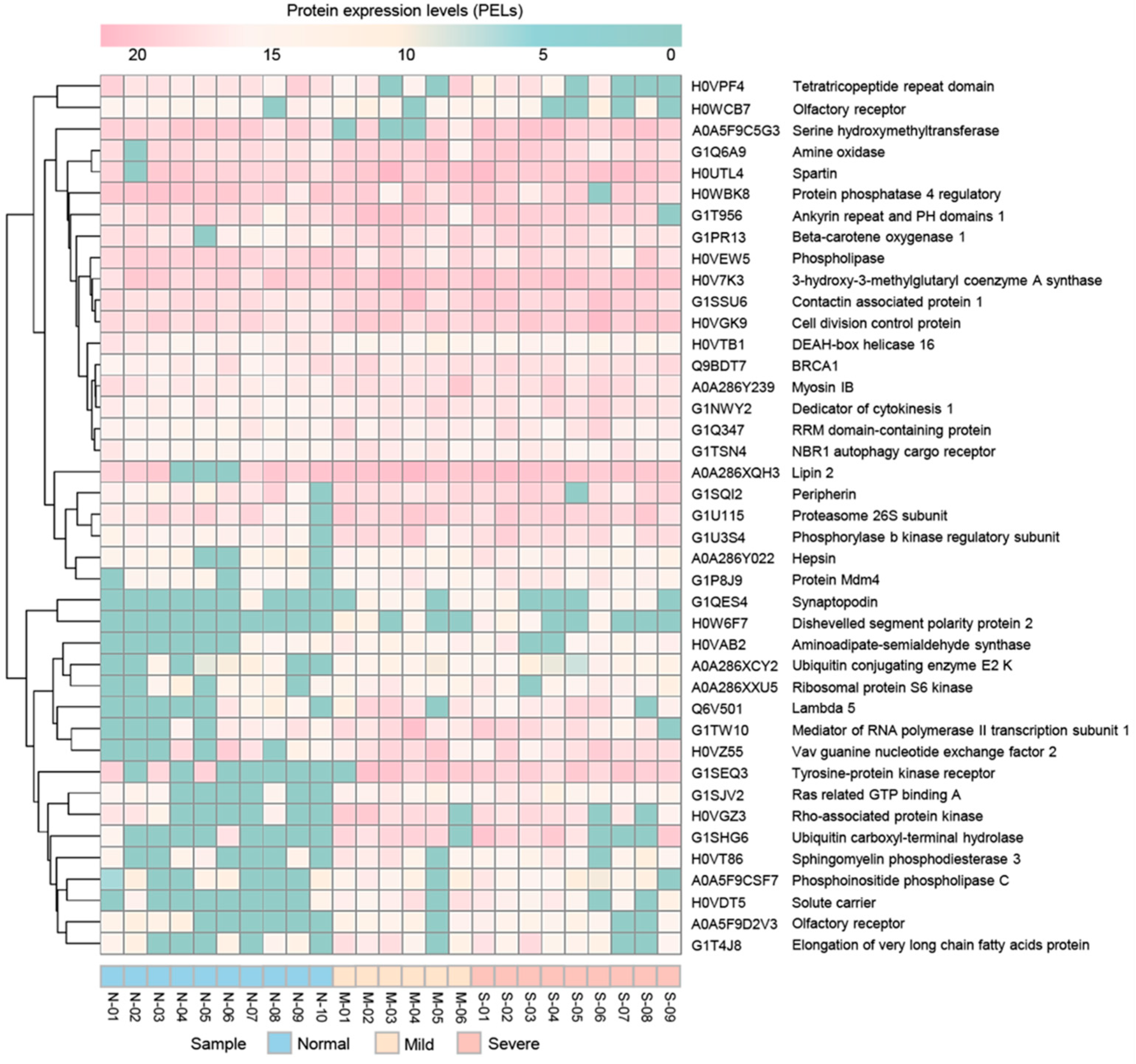 Animals 11 01913 g002 550