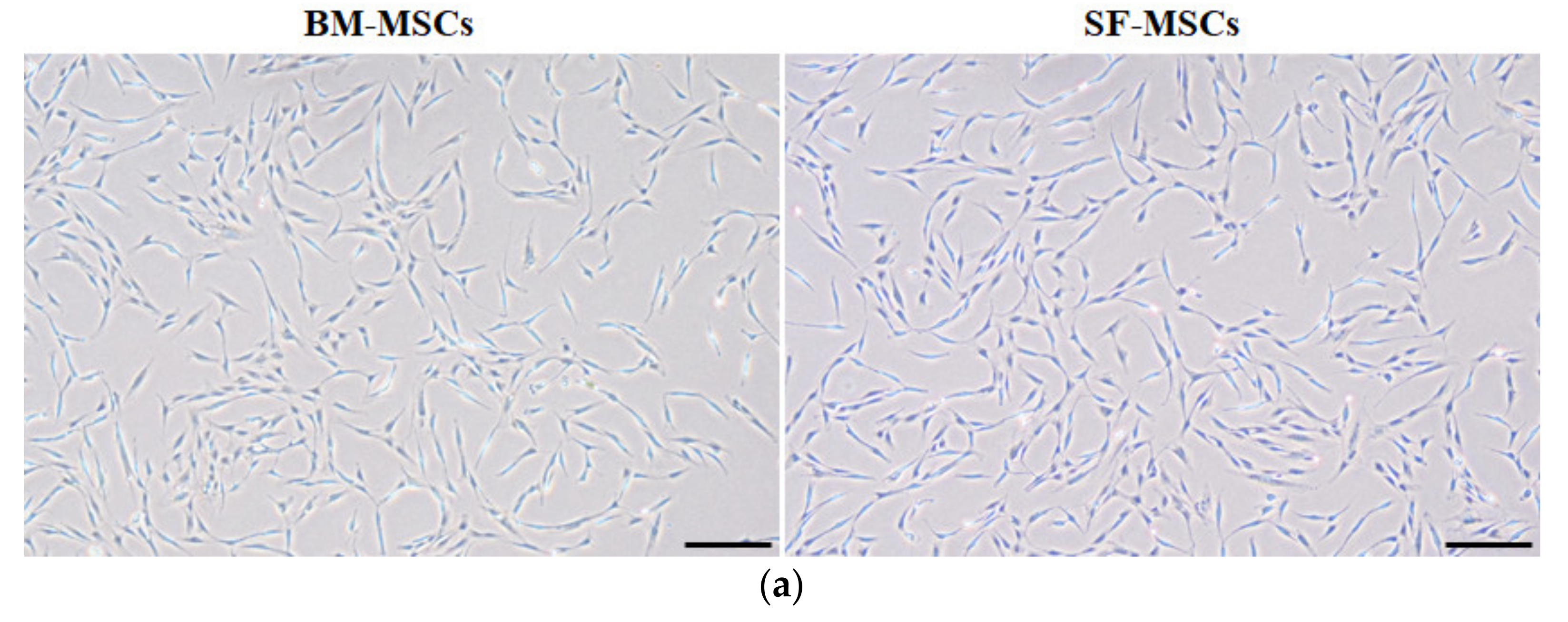 Animals 11 01918 g001a Animals 11 01918 g001a