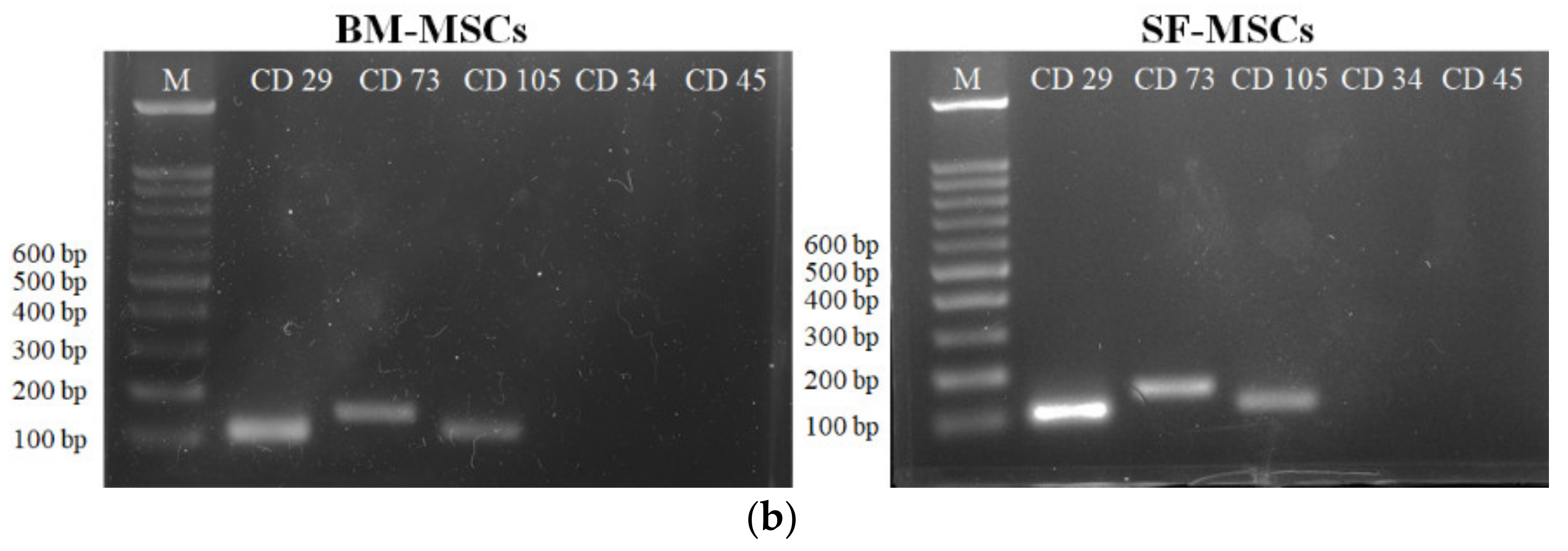 Animals 11 01918 g001b Animals 11 01918 g001b