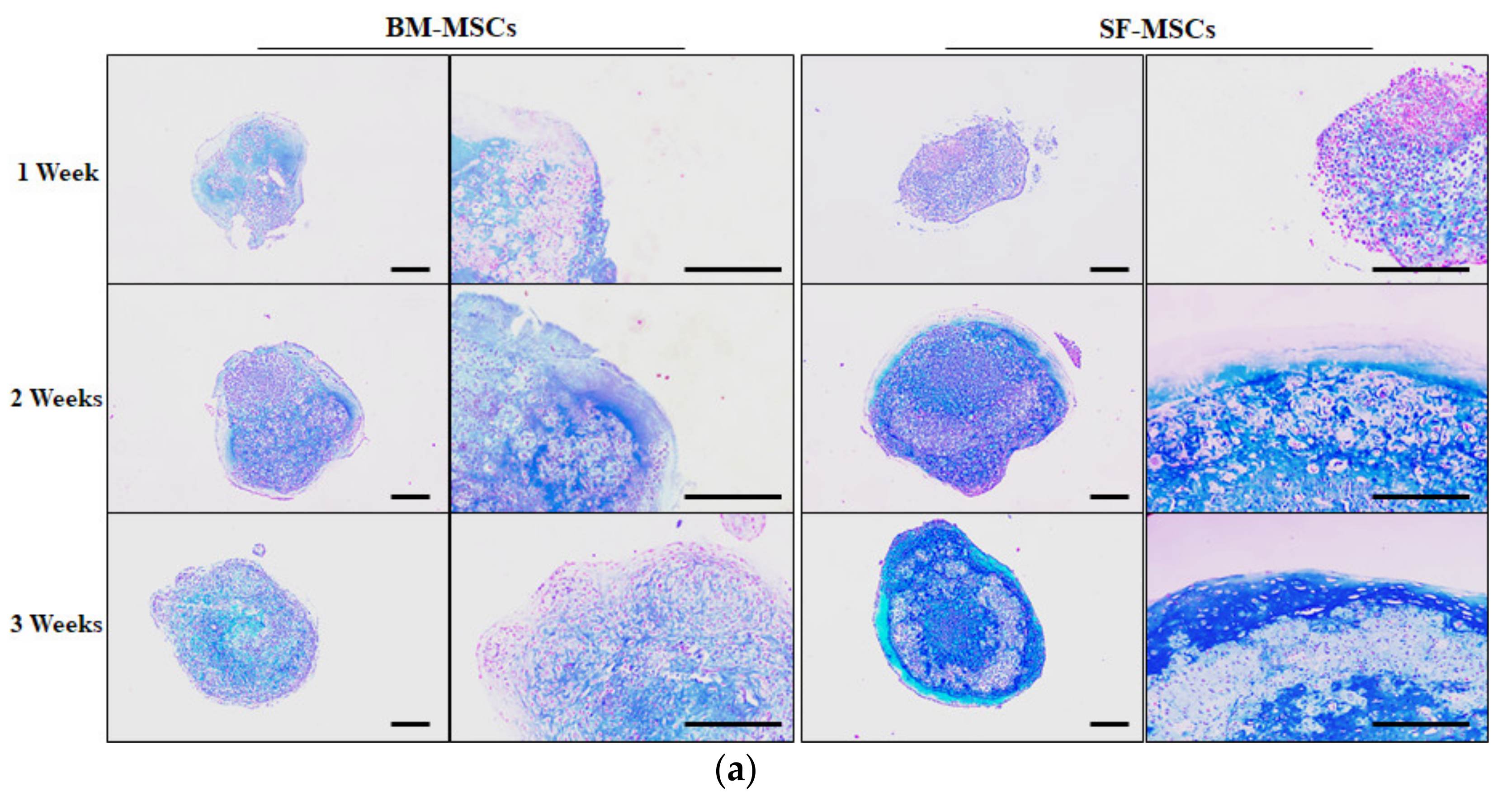 Animals 11 01918 g005a Animals 11 01918 g005a