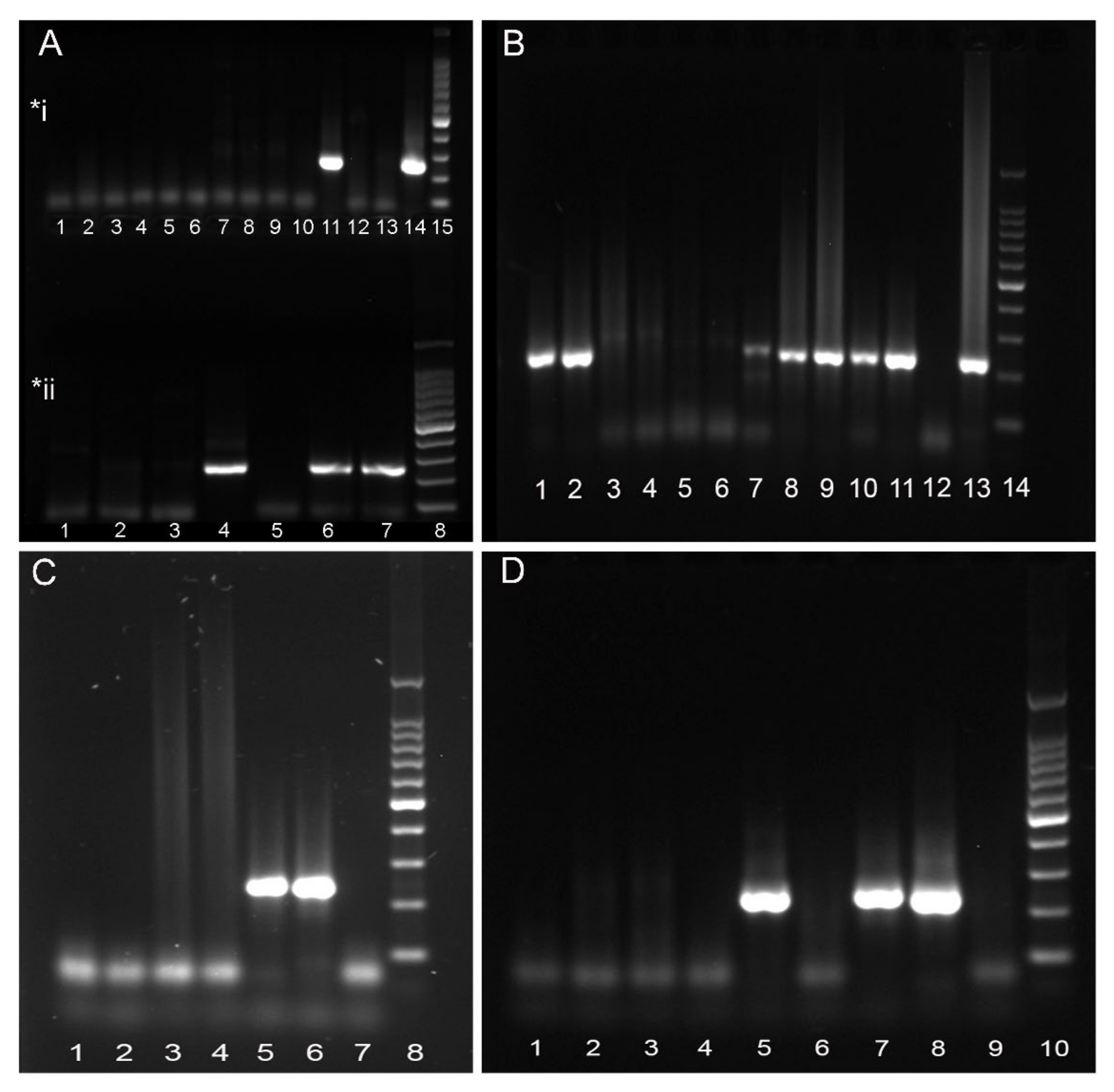 Animals 11 01923 g001 550