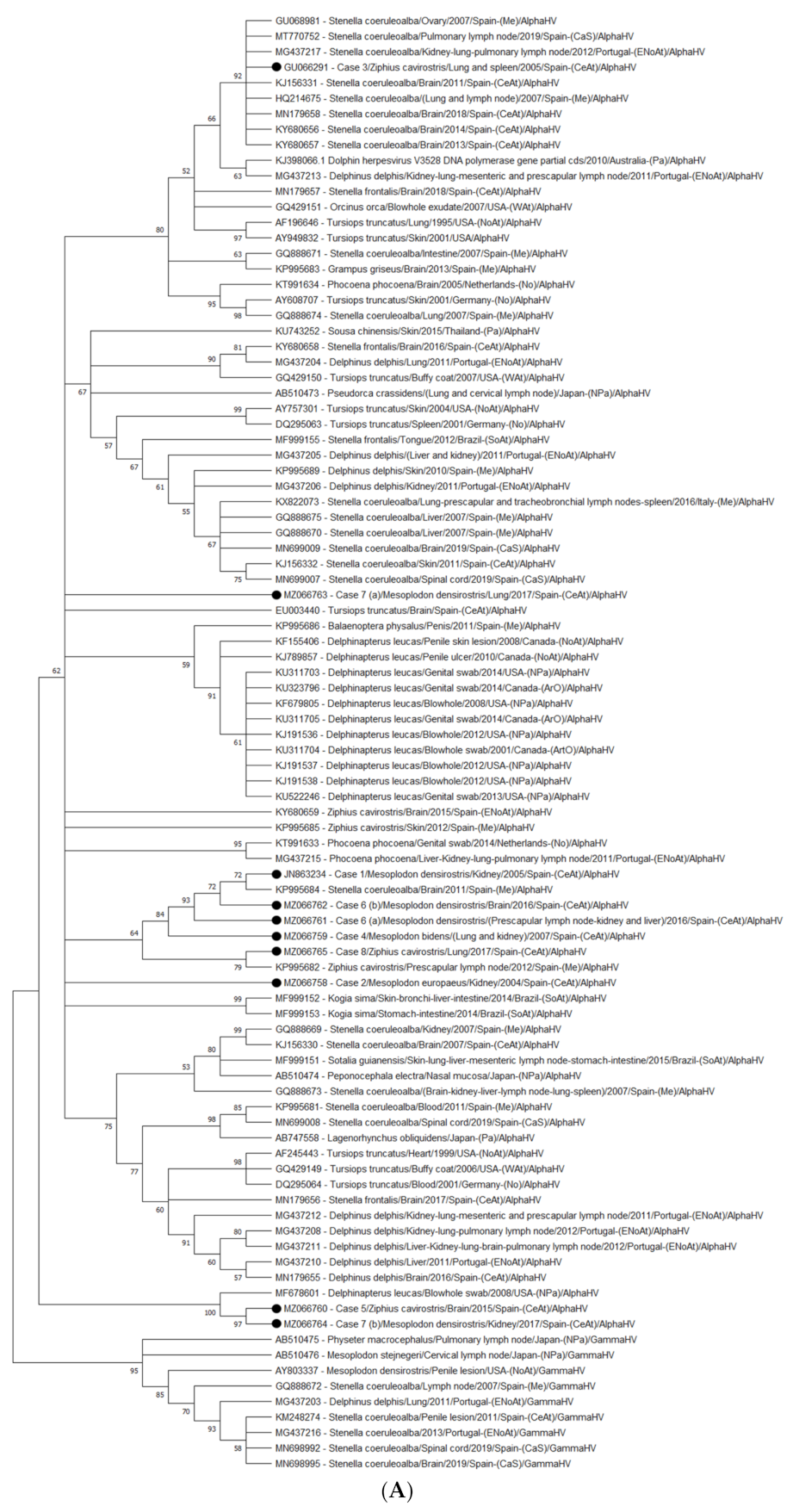 Animals 11 01923 g002a 550