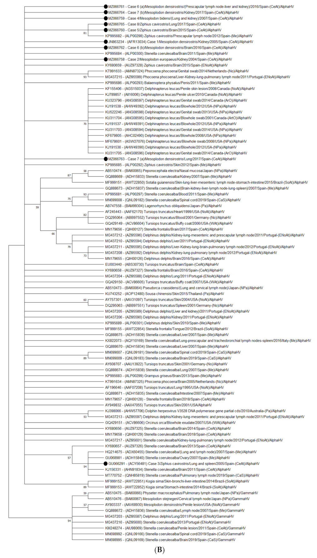 Animals 11 01923 g002b 550